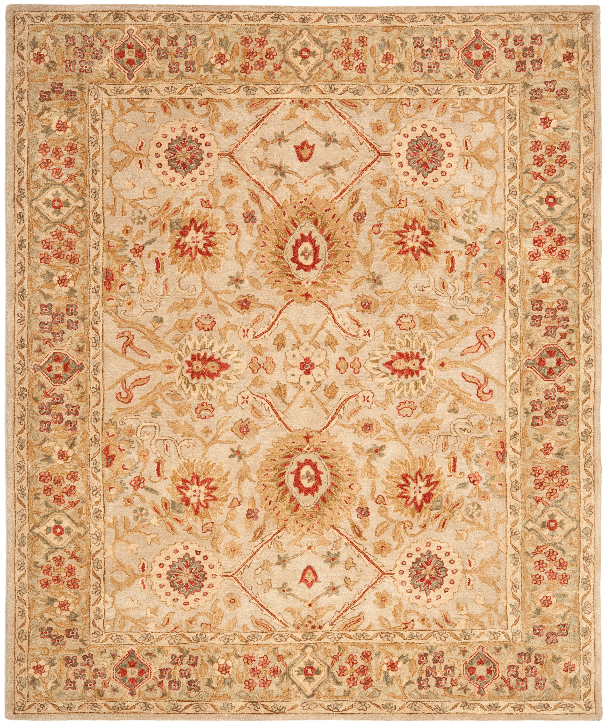 Safavieh AN516B-9 rugs - View #2