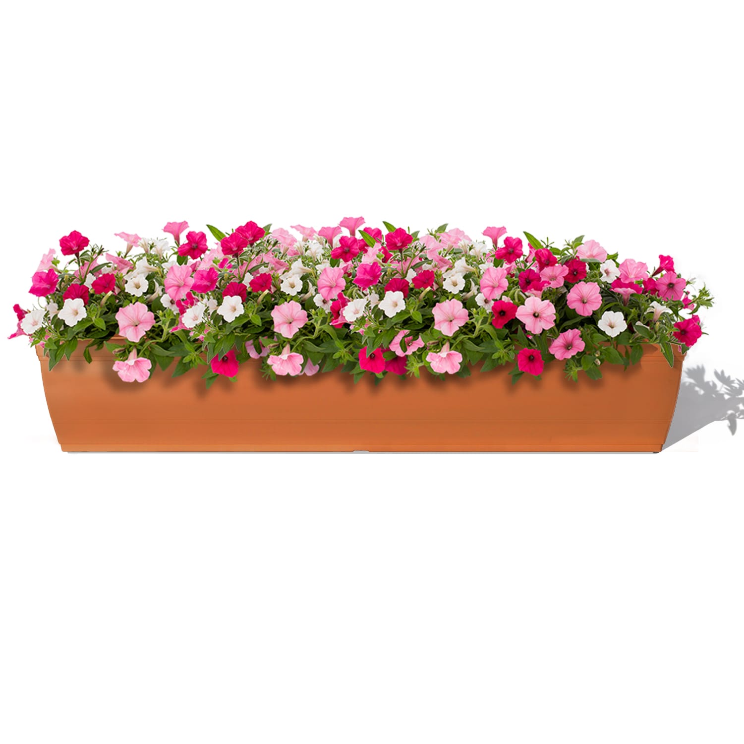 Style Selections WB2132A-CLAY Planter-Window-Box - View #2