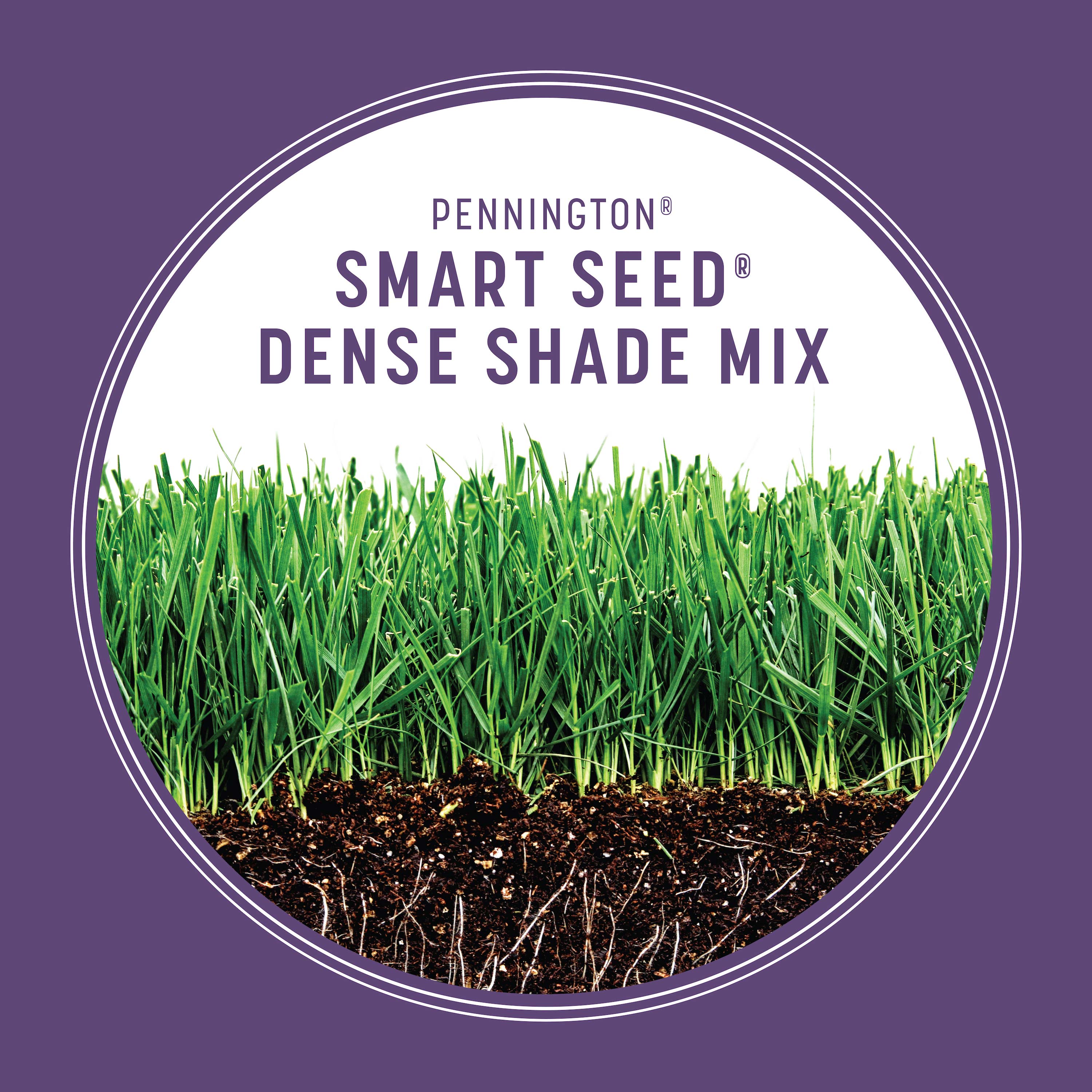 Pennington Smart Seed Dense Shade 7 Lb Mixtureblend Grass Seed In The Grass Seed Department At 