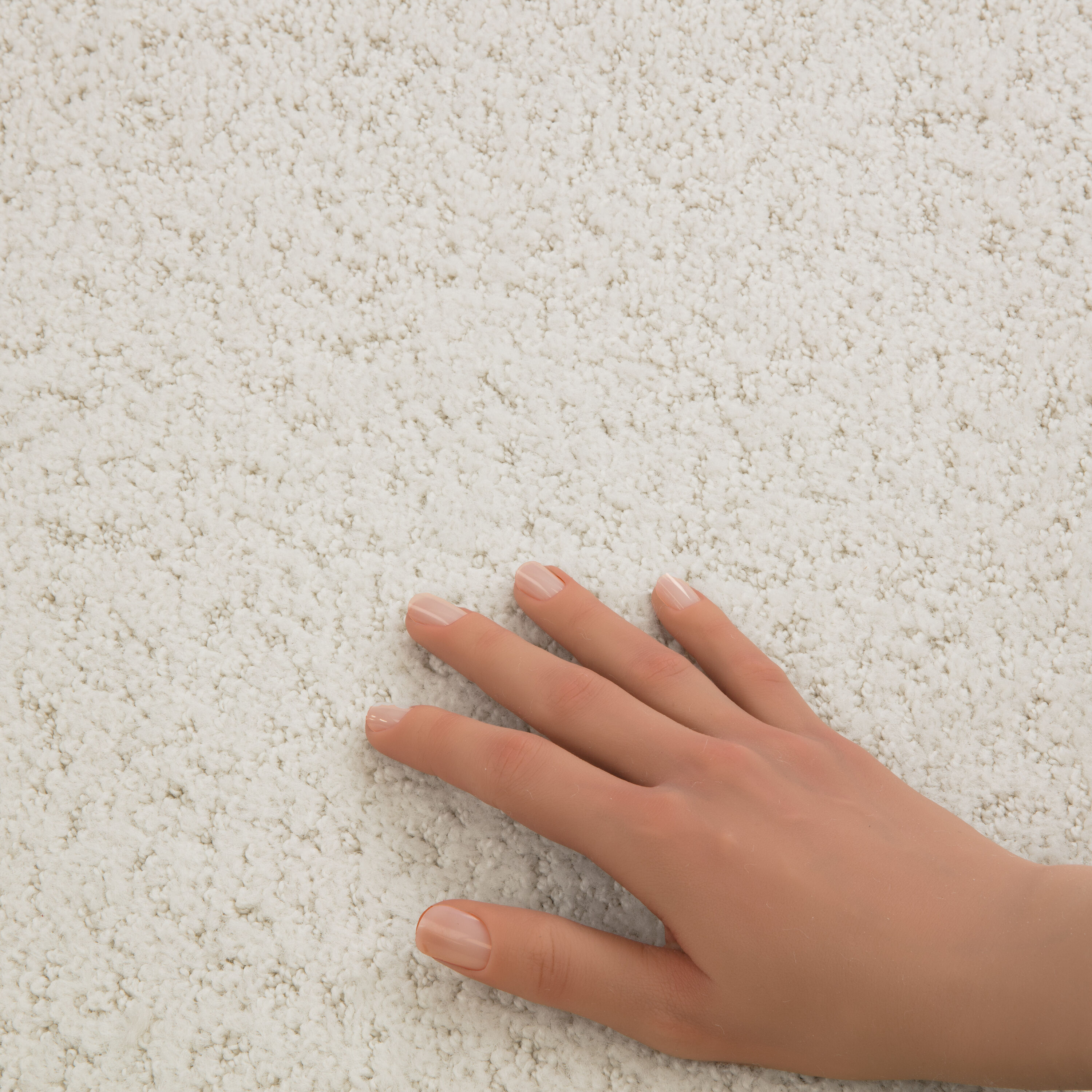 STAINMASTER PetProtect 7L884 - 100 - SAMP Carpet-Samples - View #5