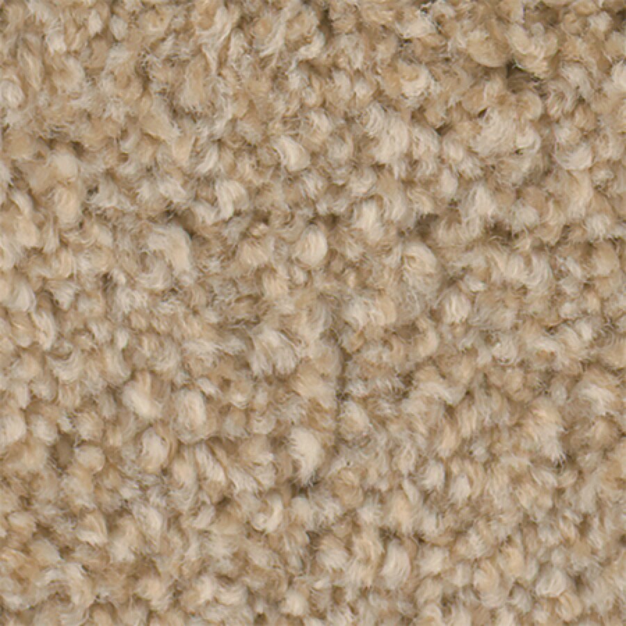 STAINMASTER S796054PEANUT S-2400 (Sample) Active Family Wade Pool II Peanut Shell Plush Carpet