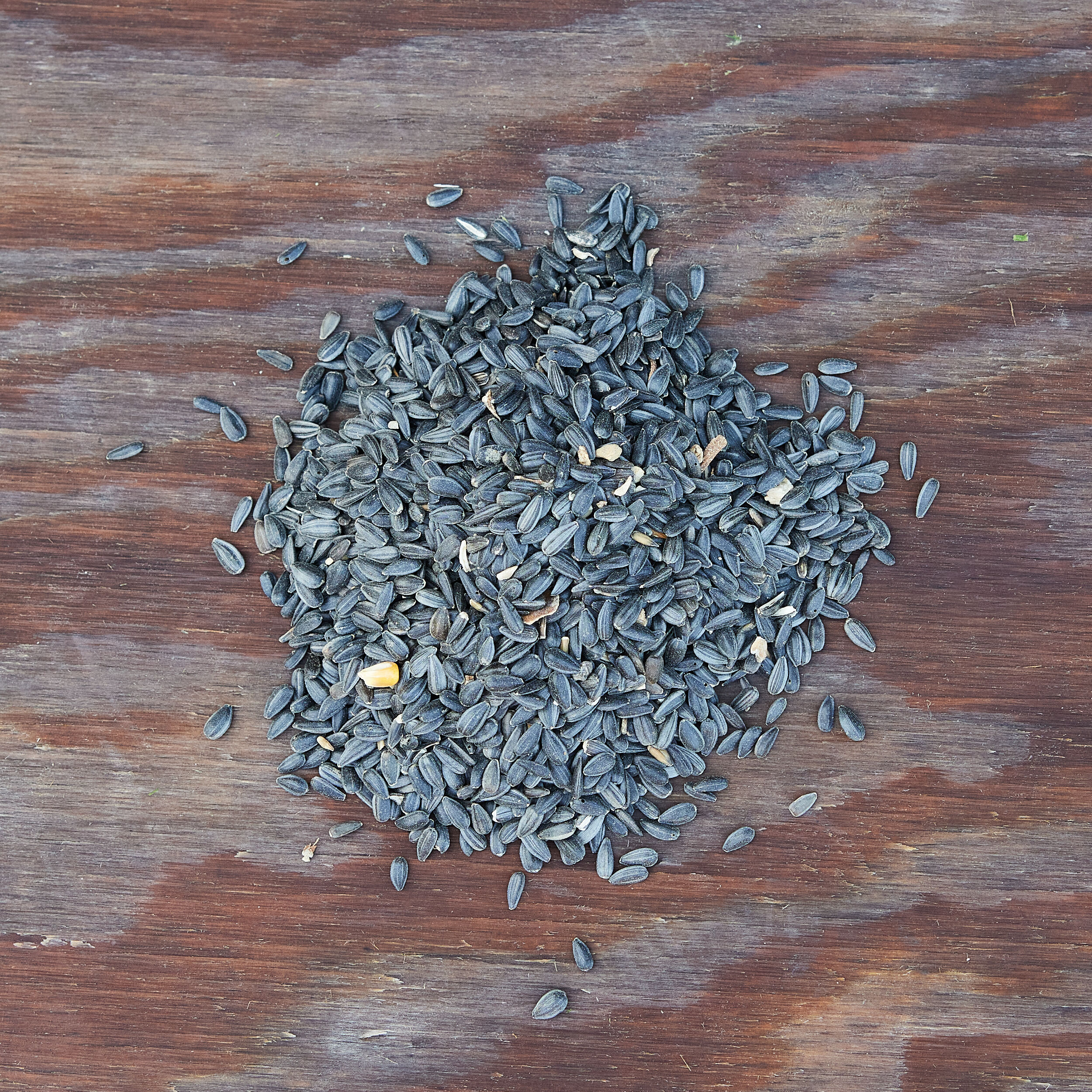 National Audubon Society 009459 Bird-Squirrel-Food - View #2