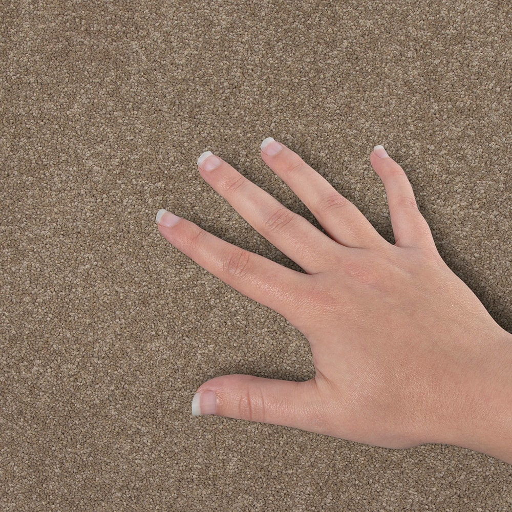 STAINMASTER SS029-12-L011 Carpet-Panel - View #4