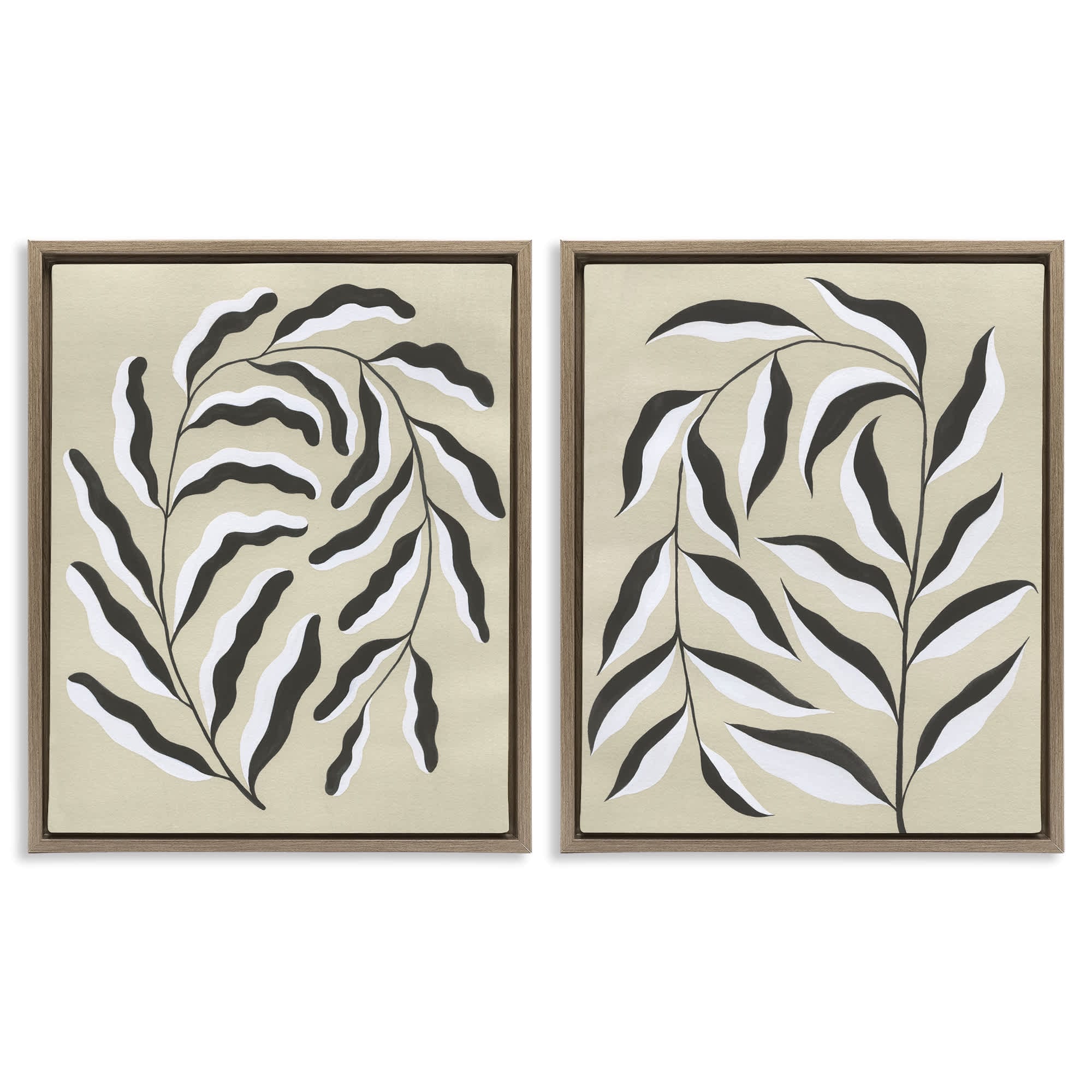 Stupell Industries B2-773-FFE-2PC-16X20 Midcentury Mod Botanicals 2pc Floating Frame Set design by Grace Popp