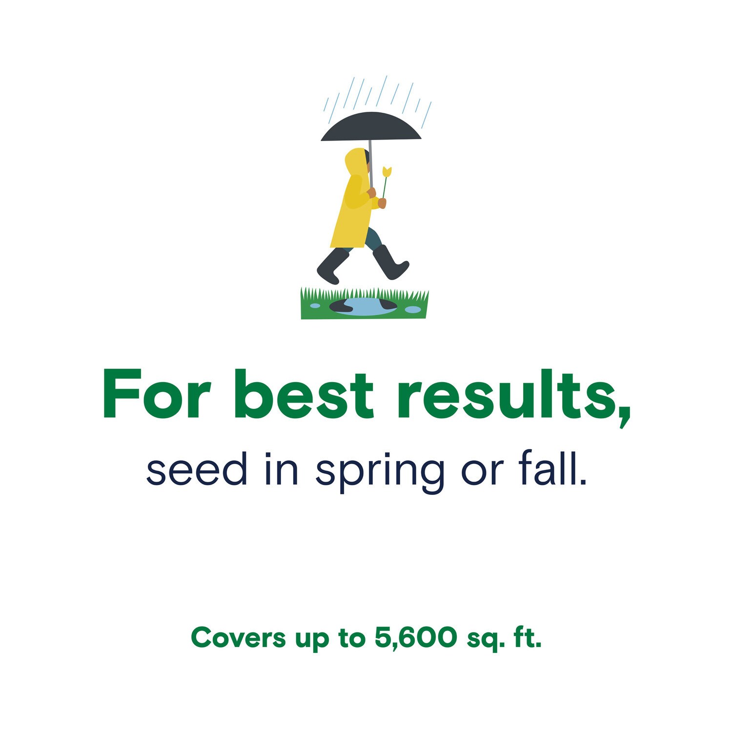 instead 17999 Grass-Seed - View #7