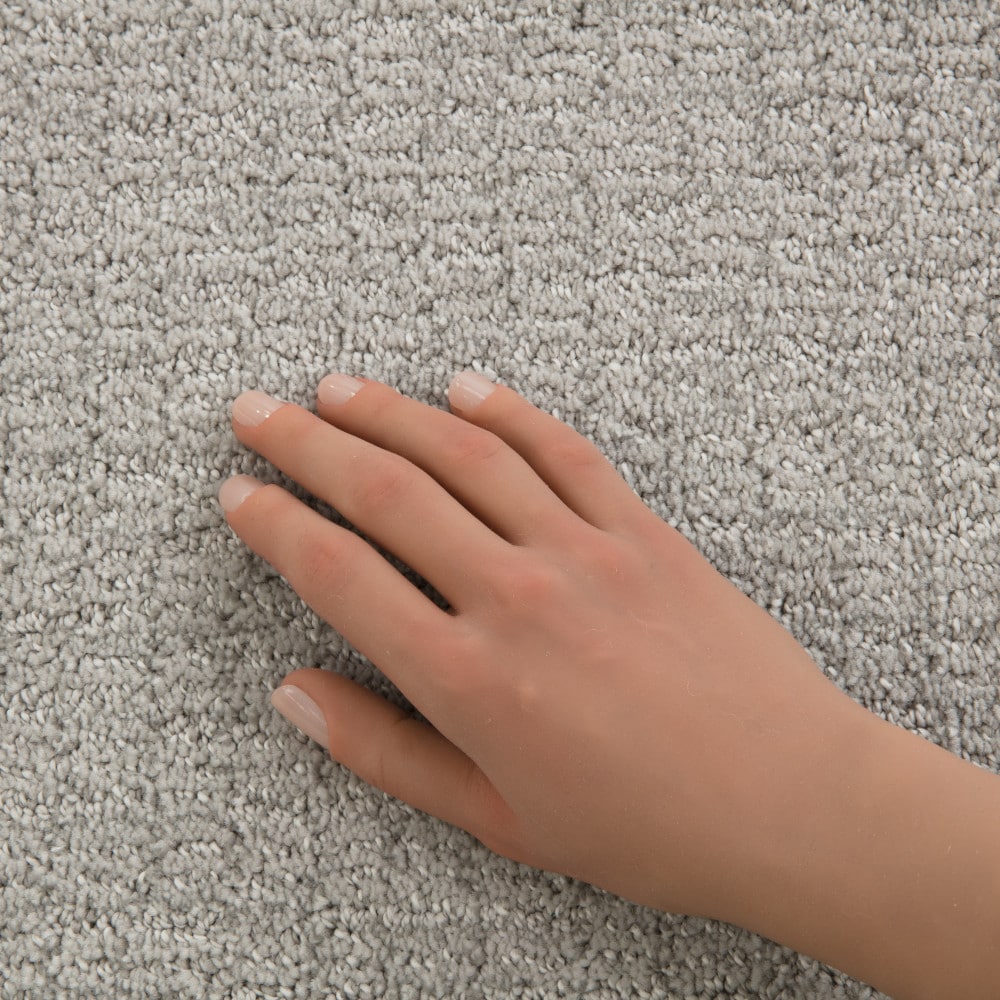 STAINMASTER PetProtect 7L94700556 Carpet-Panel - View #4