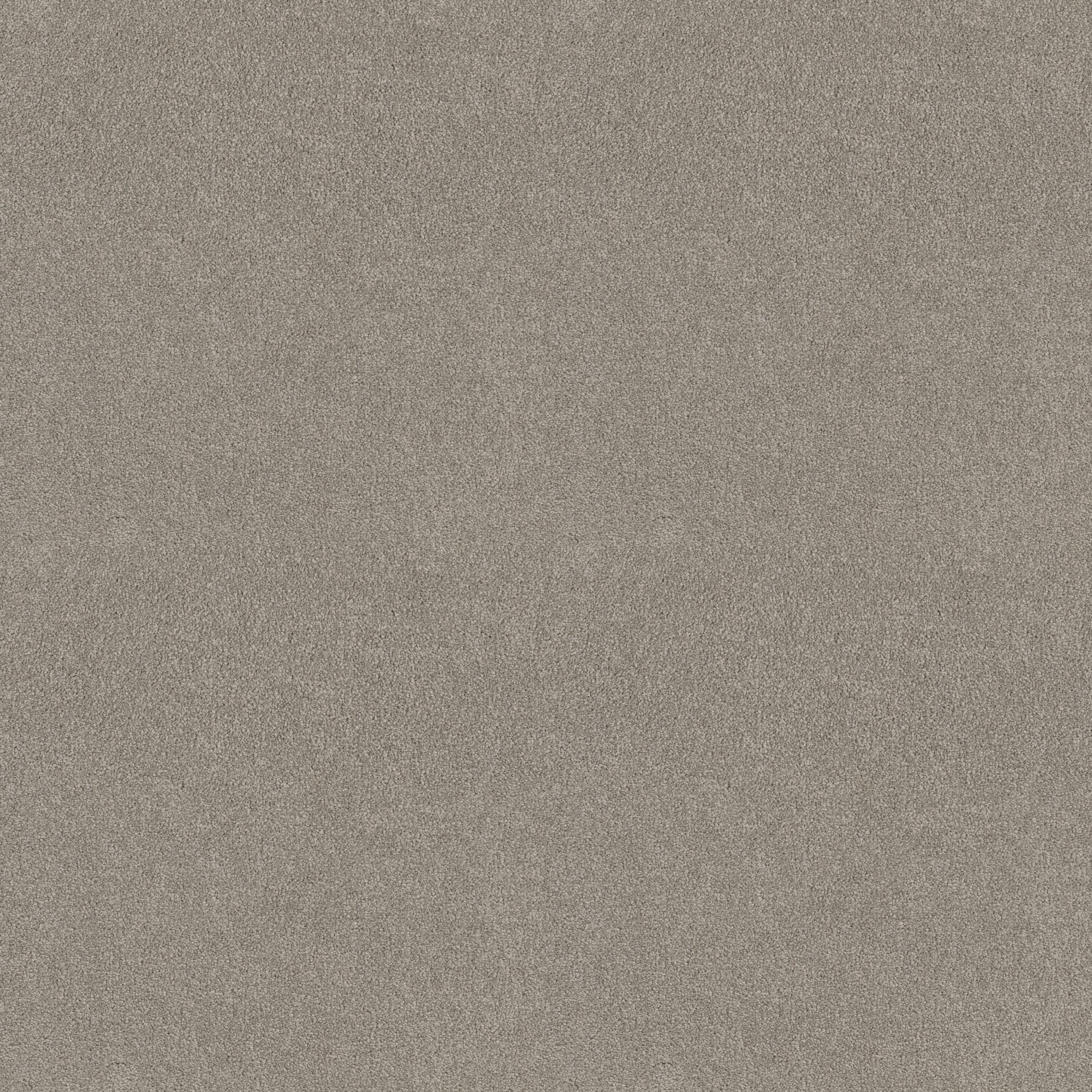 STAINMASTER PetProtect 7L893 - 750 - SAMP (Sample) Sweet Spot II Meander Brown 58.5-oz sq yard Nylon Textured Indoor Carpet