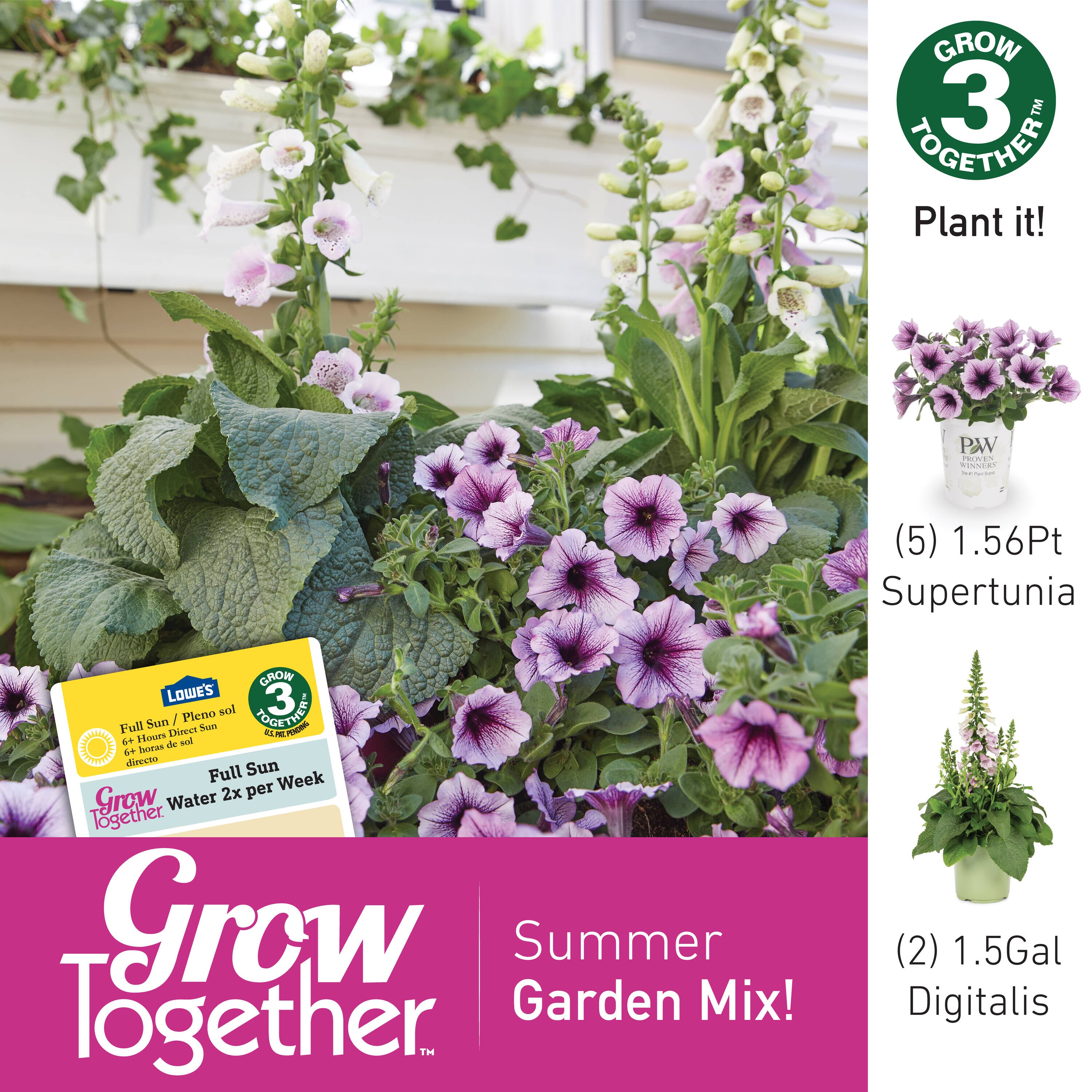 Lowe's 221628 annuals - View #8