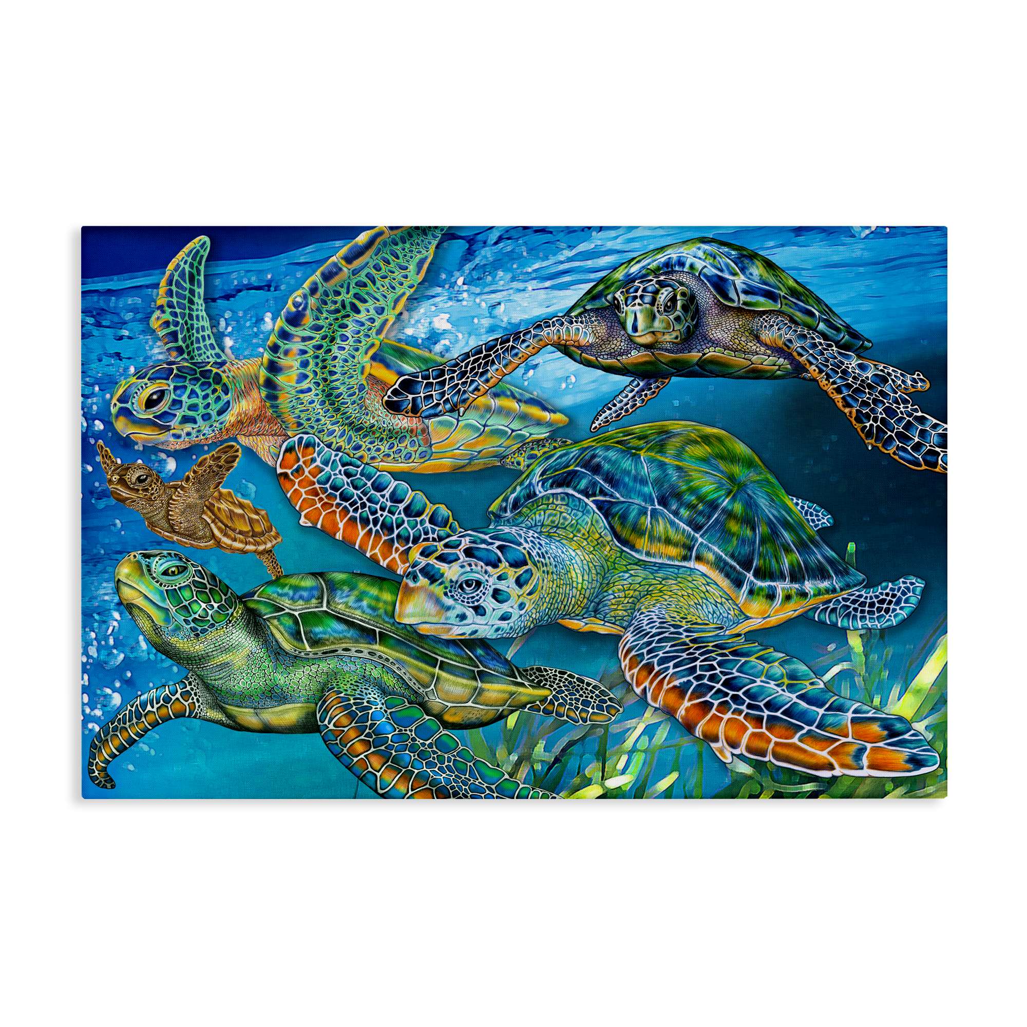 Stupell Industries BT-363-CN-20X30 Tortoise Family Underwater Swim Canvas Wall Art By Tim Jeffs 30 x 20