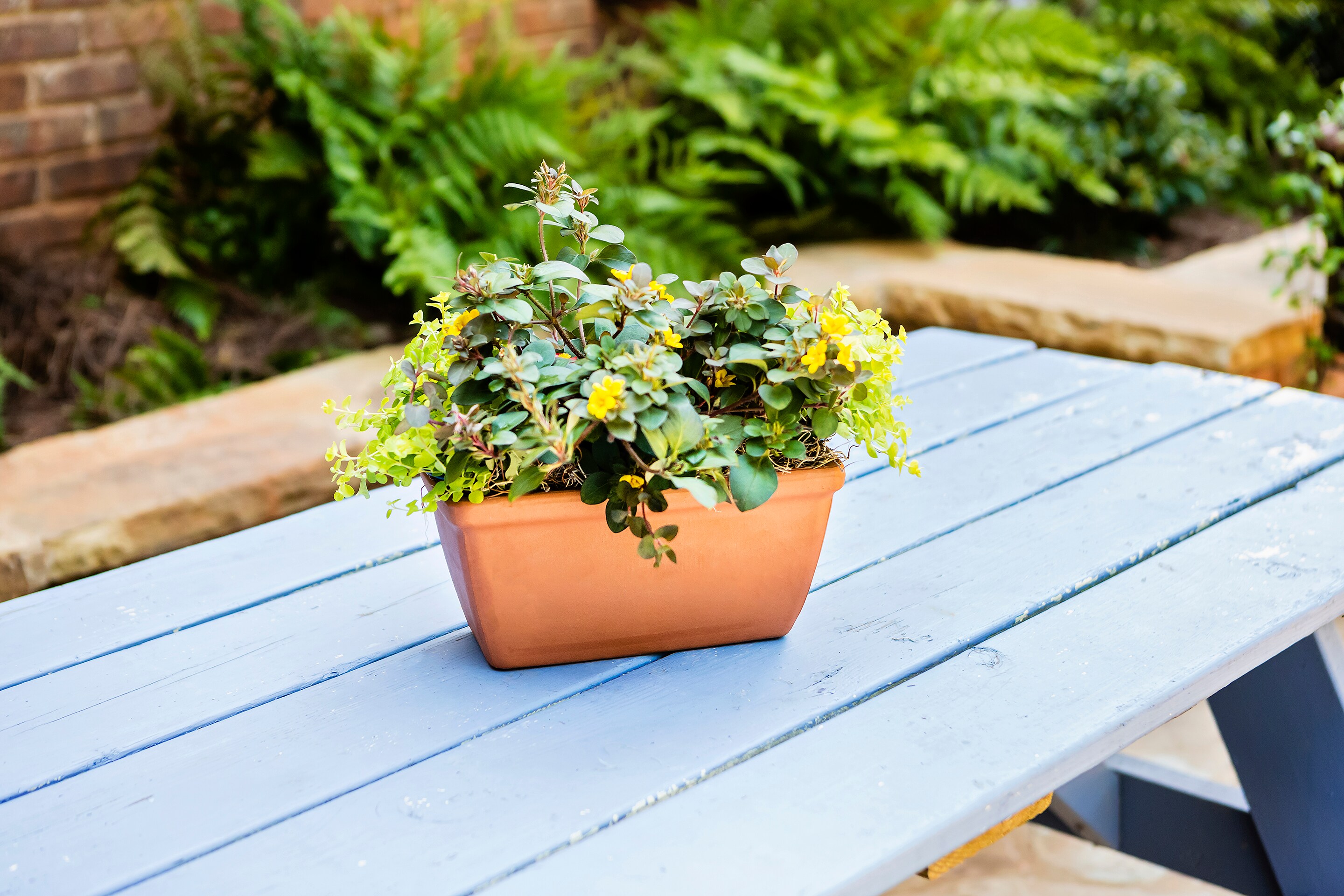 Pennington 100021299 Planter-Window-Box - View #7
