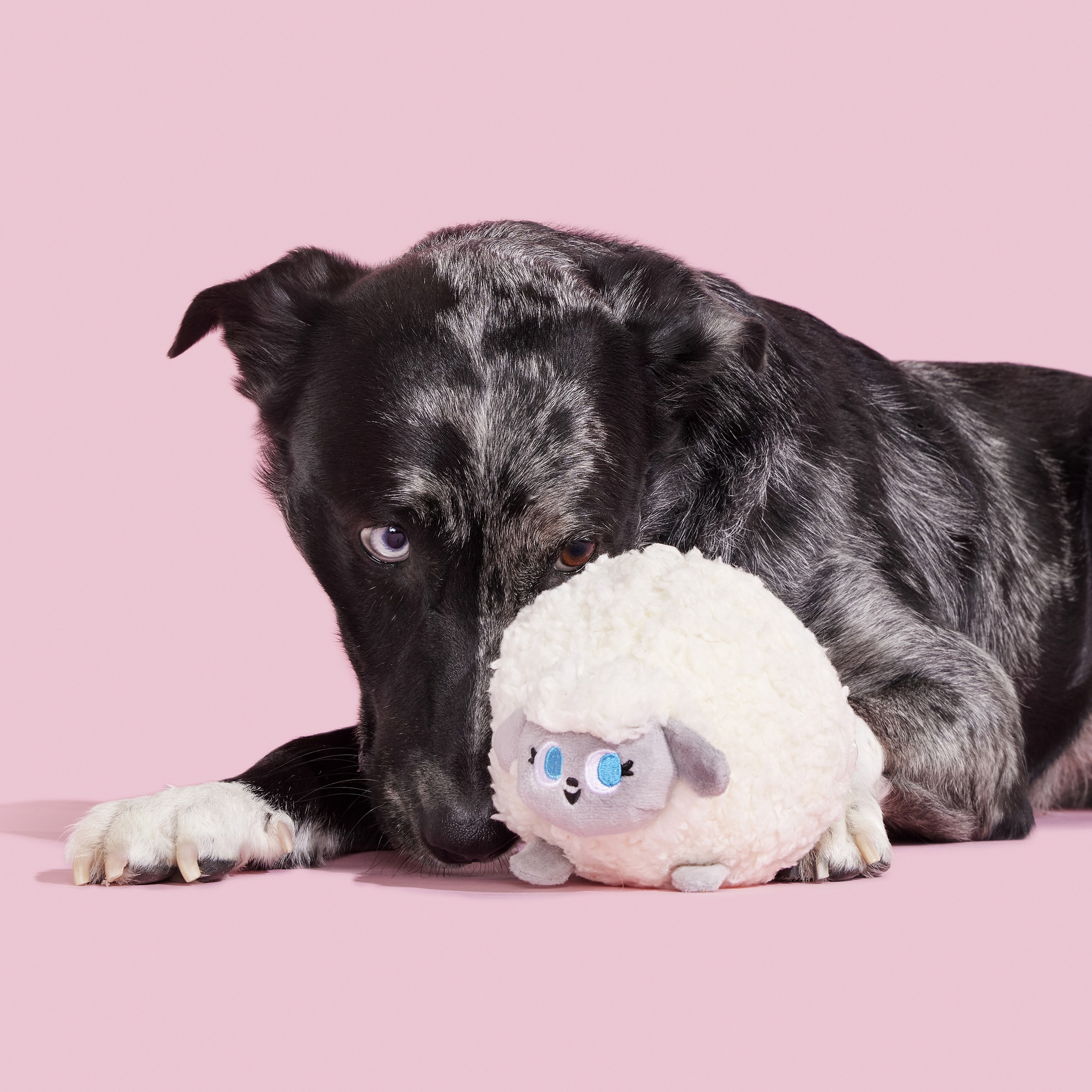 BARK 214273 Dog-Toys - View #4