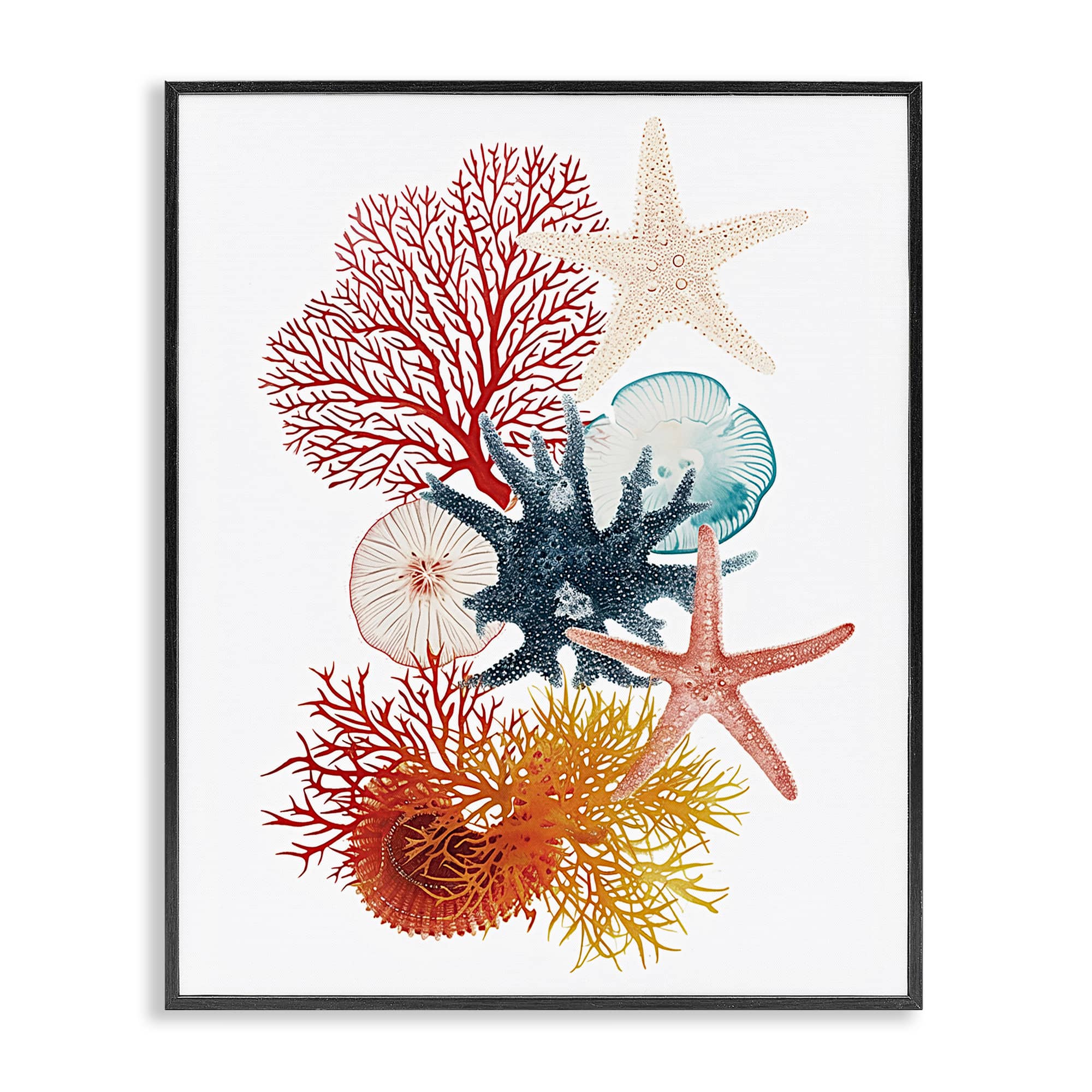 Stupell Industries  Coral and Undersea Creatures Black Framed Giclee Art By Ramona Murdock 24 x 30