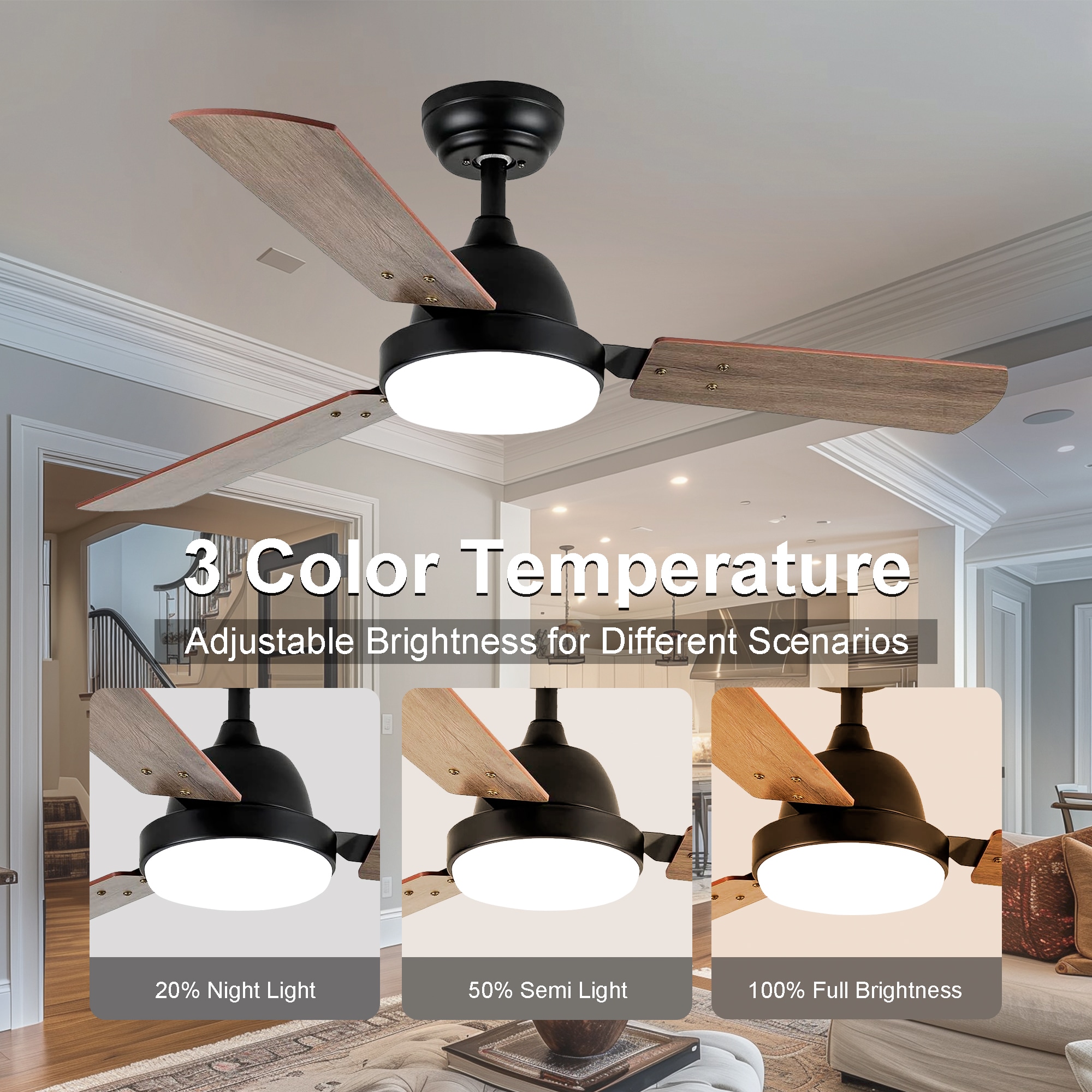 Sunrinx CF-23-DS Ceiling-Fans - View #7