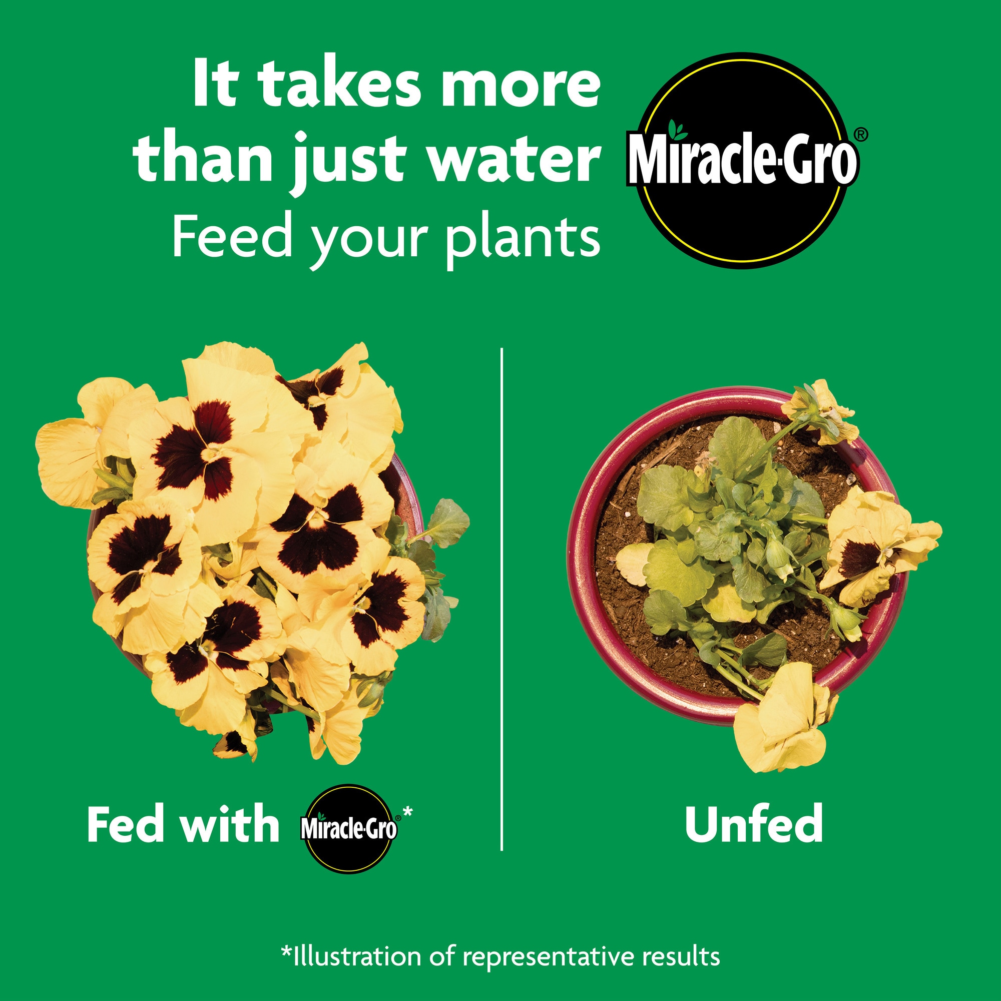 Miracle-Gro 3001810 Plant-Food - View #9