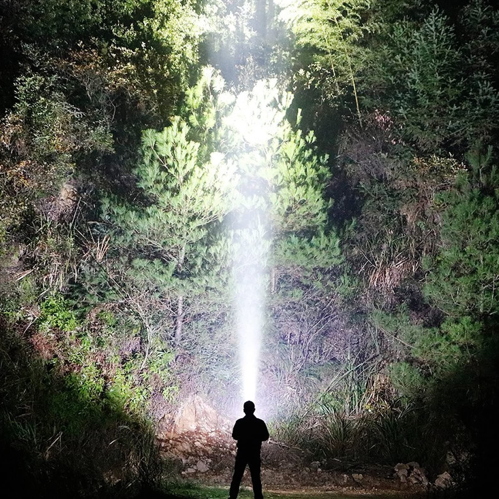 SenQWFa LDC0826C204 headlamps - View #7