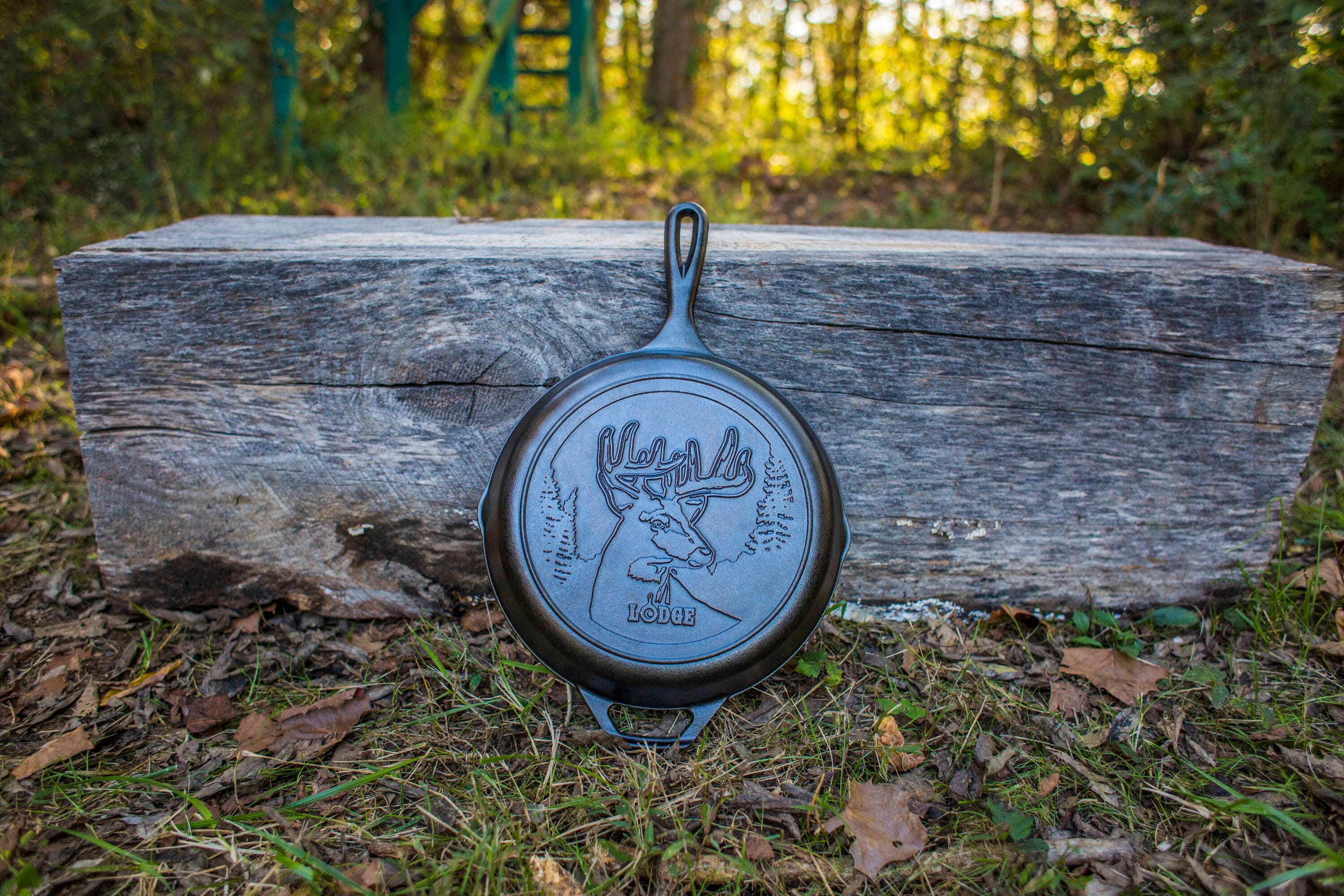 Lodge Cast Iron L8SKWLDR Cooking-Pans-Skillets - View #2