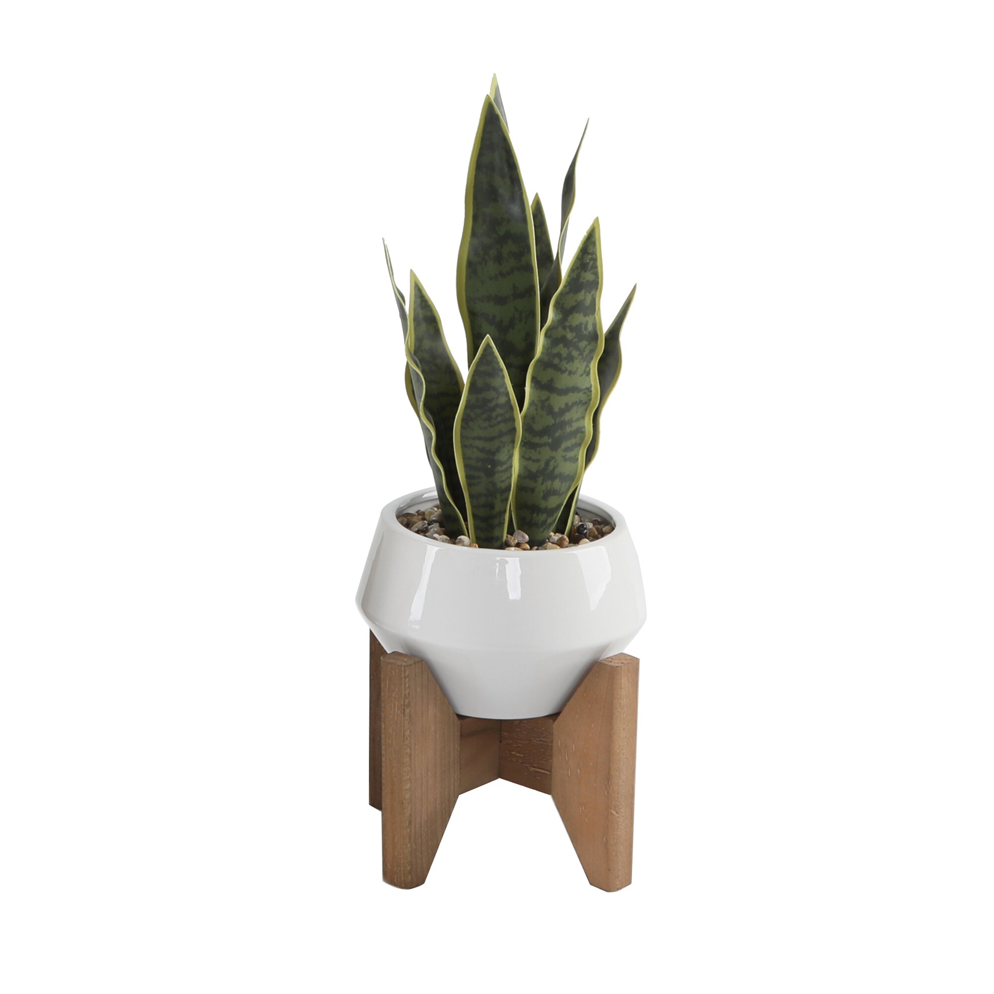 Flora Bunda 6.625-in White Indoor Succulent Artificial Plant at Lowes.com