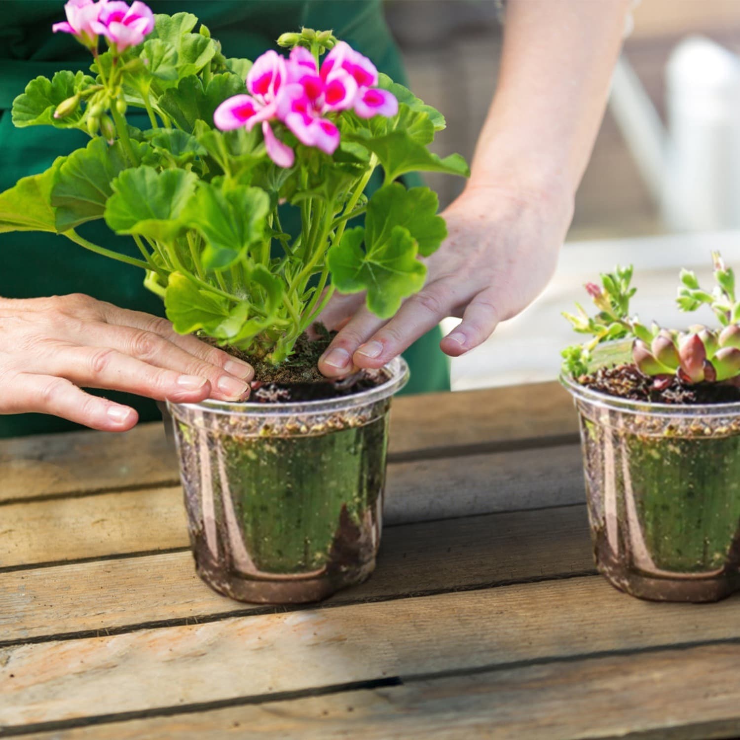 AHIOU HOME ZAAHD-H2JNSYPP Planter-Window-Box - View #5