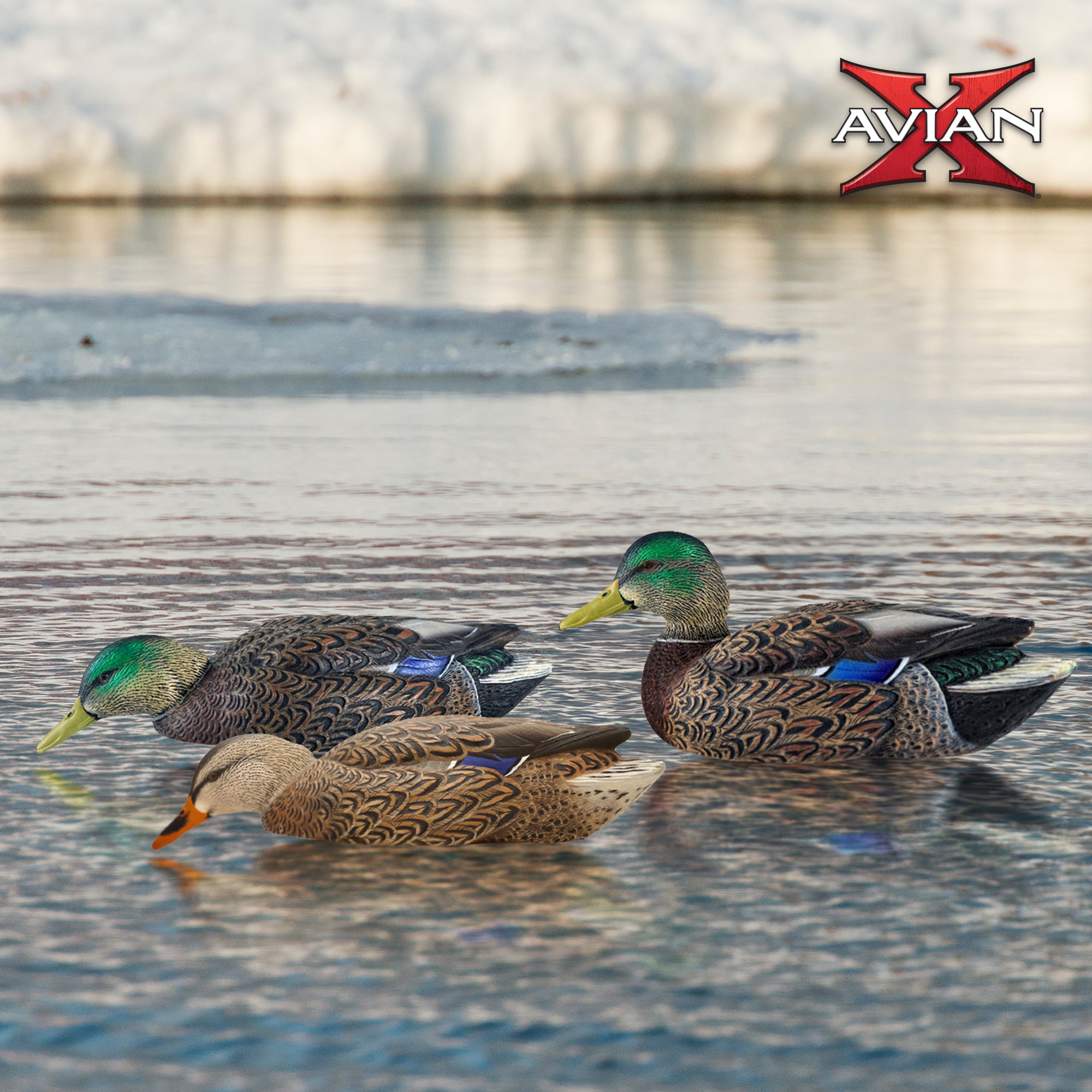  Avian X 408532 Hunting-Equipment - View #7