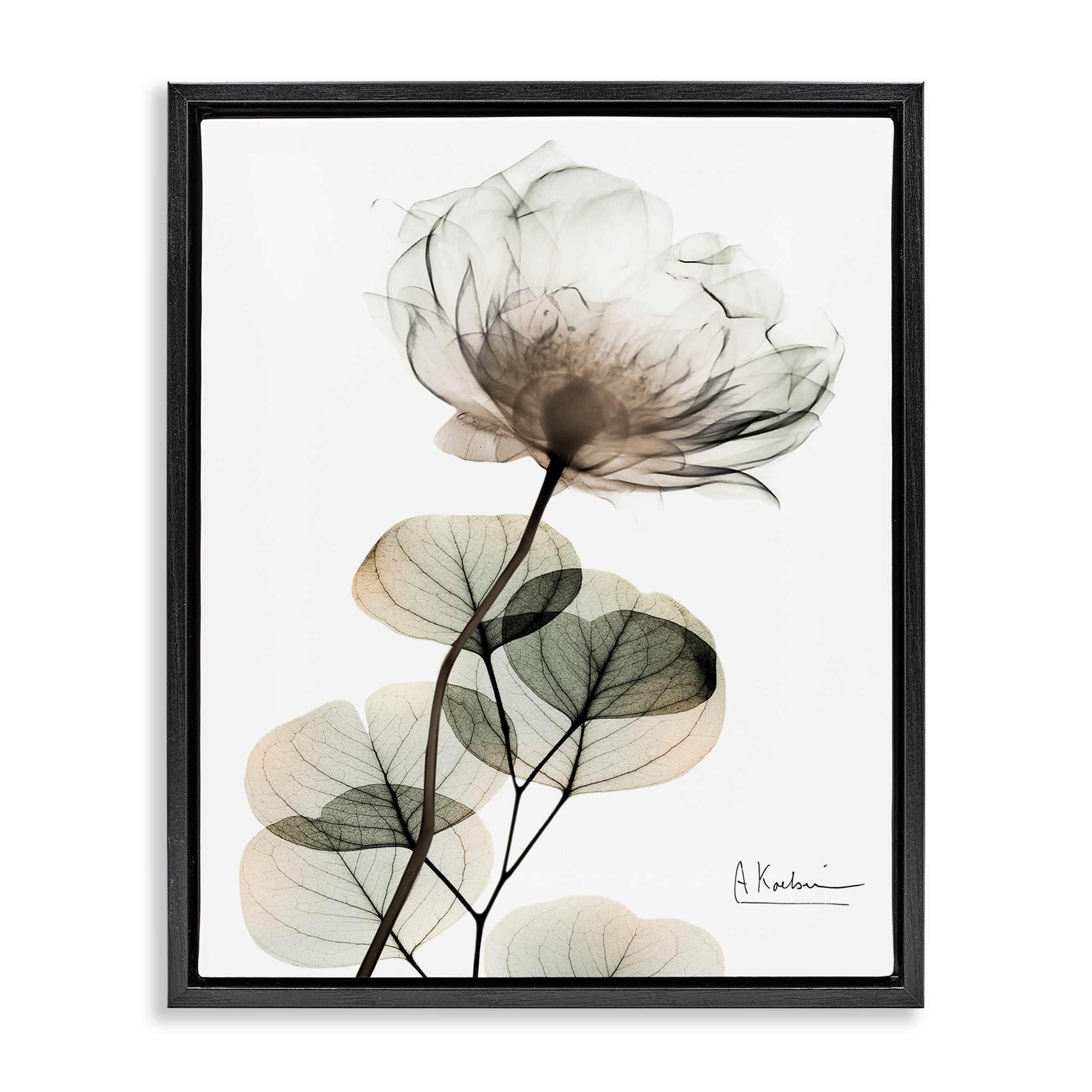 Stupell Industries BS-029-FFB-24X30 Simple Elegant White Flower Black Framed Floater Canvas Wall Art By Albert Koetsier 25 x 31