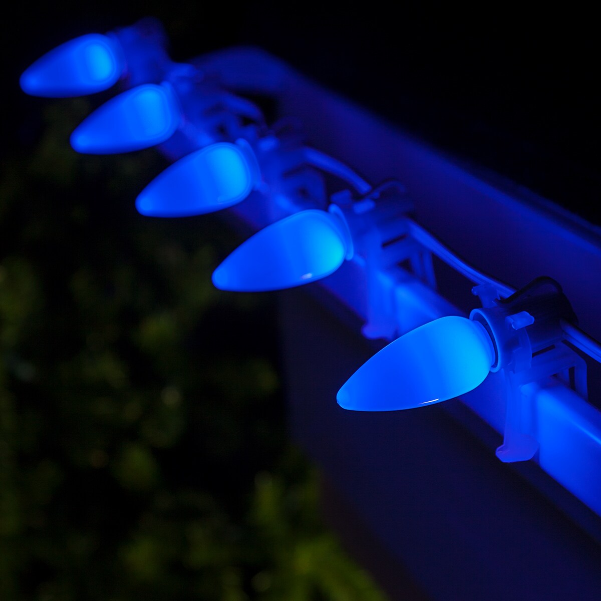 Wintergreen Lighting 74052 String-Light-Bulbs-Fuses - View #4