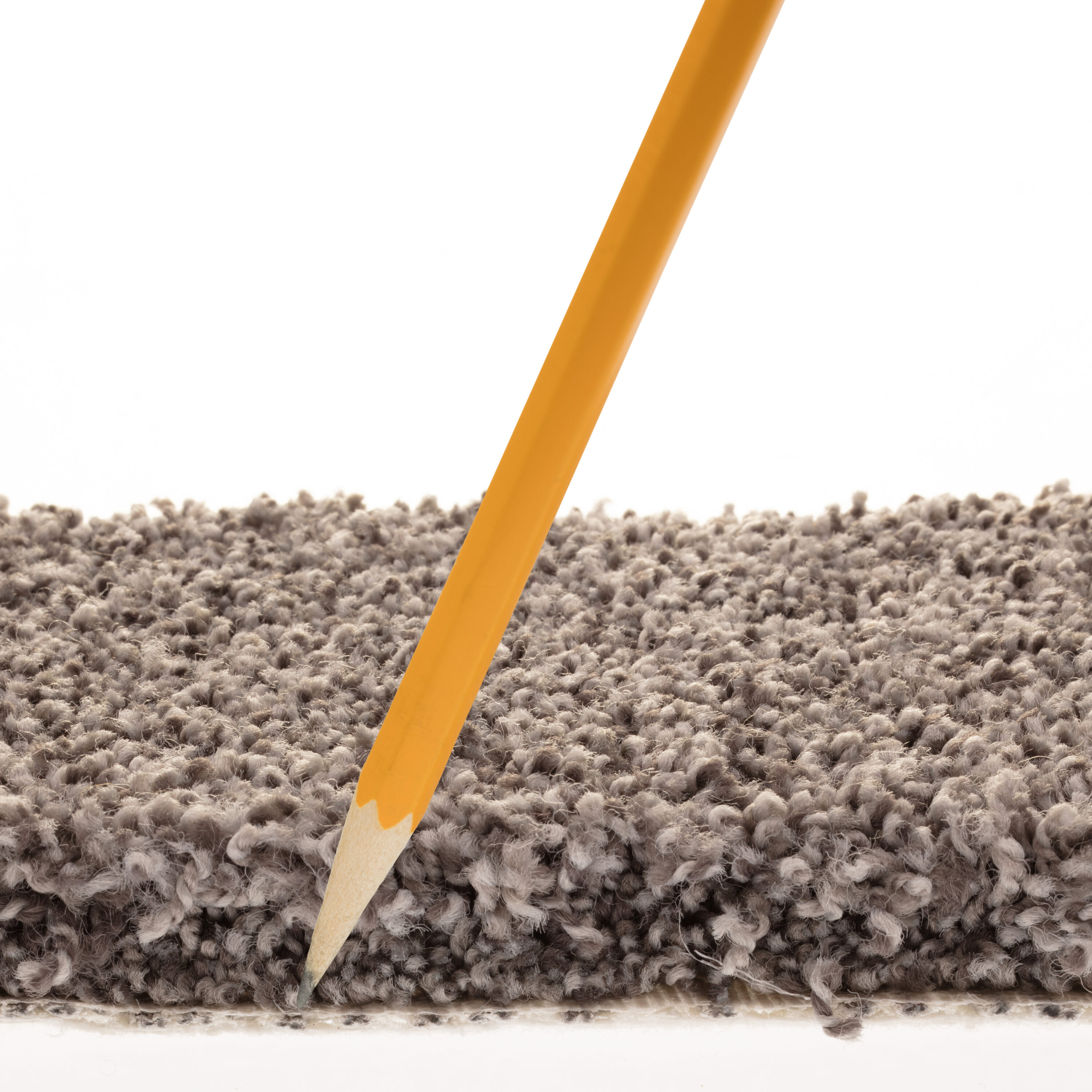 STAINMASTER 7L879 - 500 - SAMP Carpet-Samples - View #8