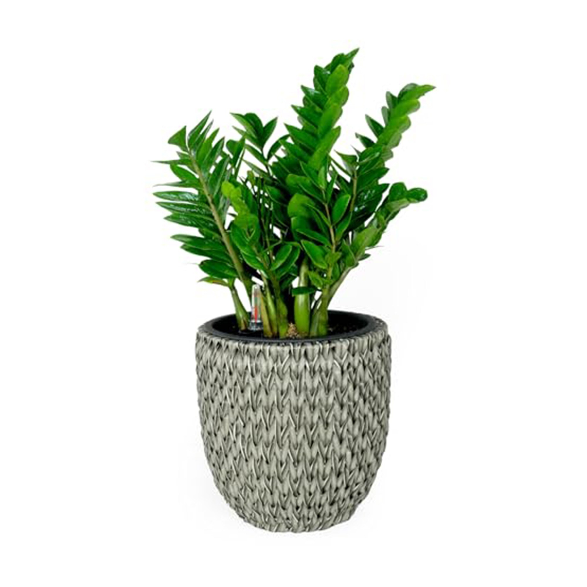 Yiekholo LL-1690AA Round 14.6-in W x 14.6-in H x 14.6-in D Gray Metal Indoor/Outdoor with Self Watering Planter