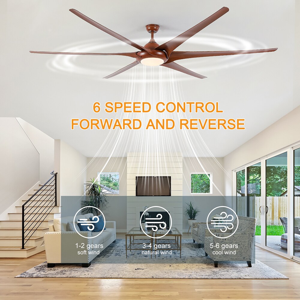 Sunrinx MG37-1-CF-28 Ceiling-Fans - View #13