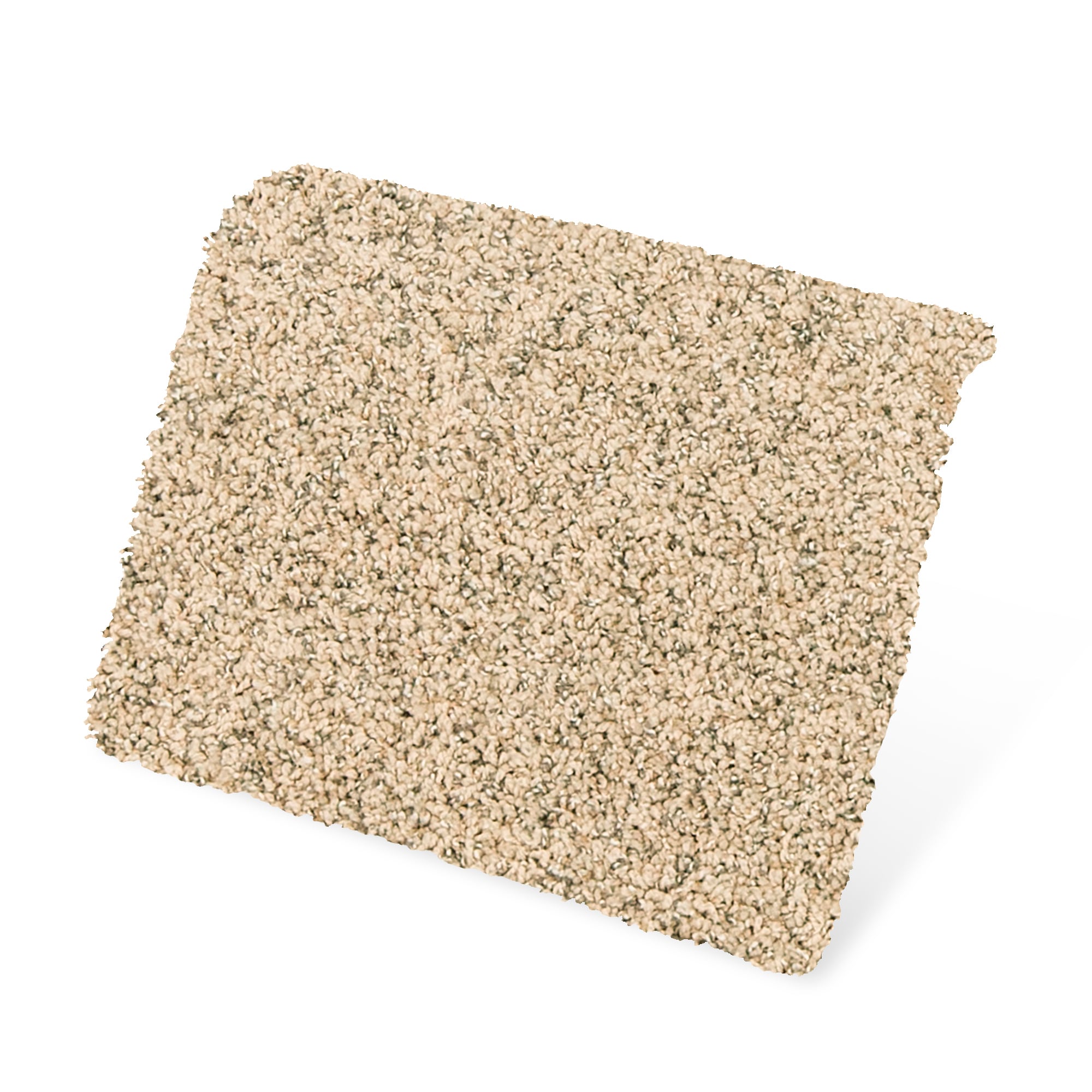 STAINMASTER PetProtect SS058-L008-S0808 Carpet-Samples - View #3