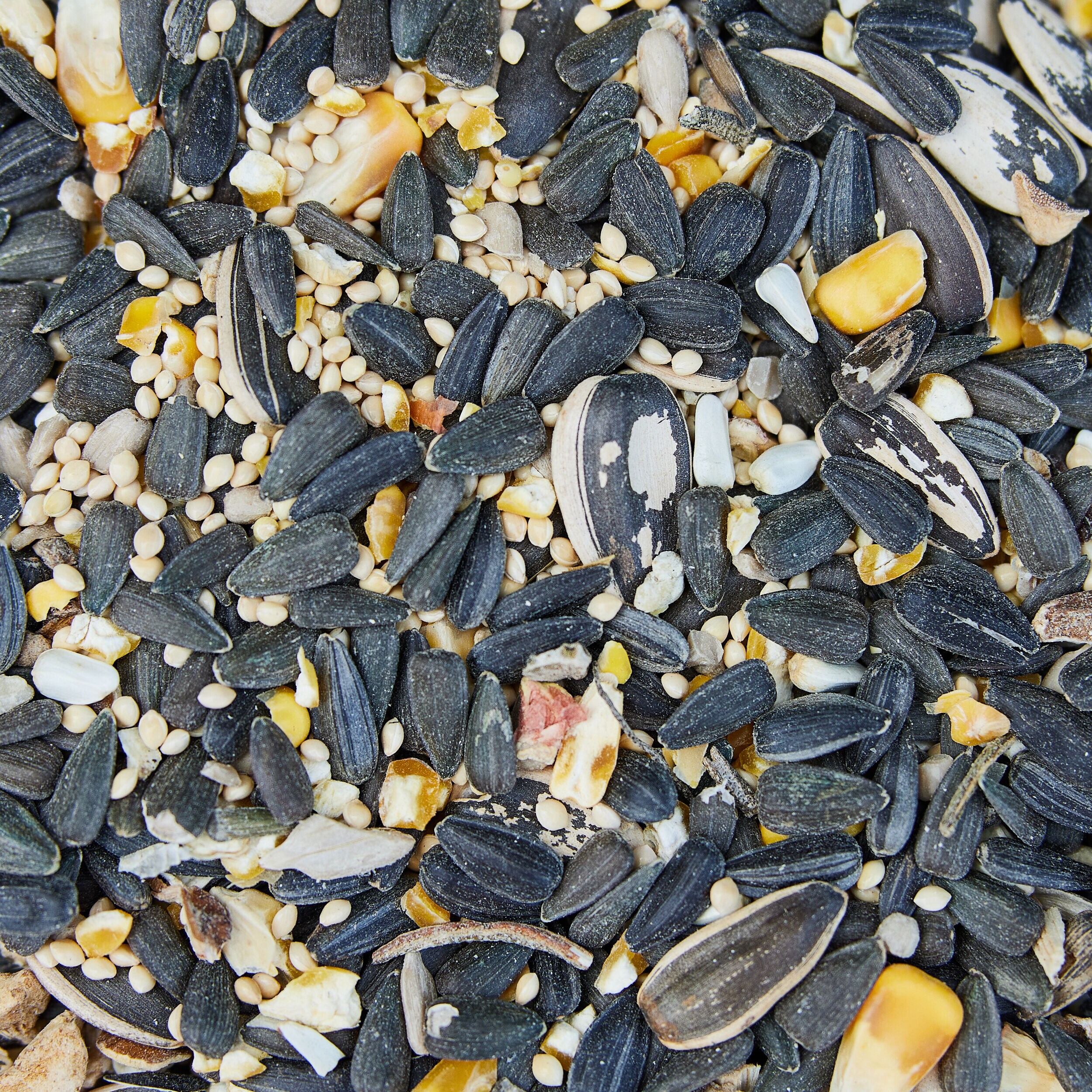 National Audubon Society 009461 Bird-Squirrel-Food - View #10