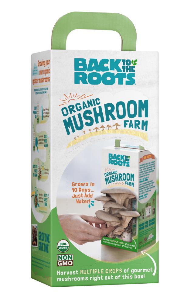 Back To The Roots Organic Mushroom Grow Kit - Vegetable Gardening Kit ...