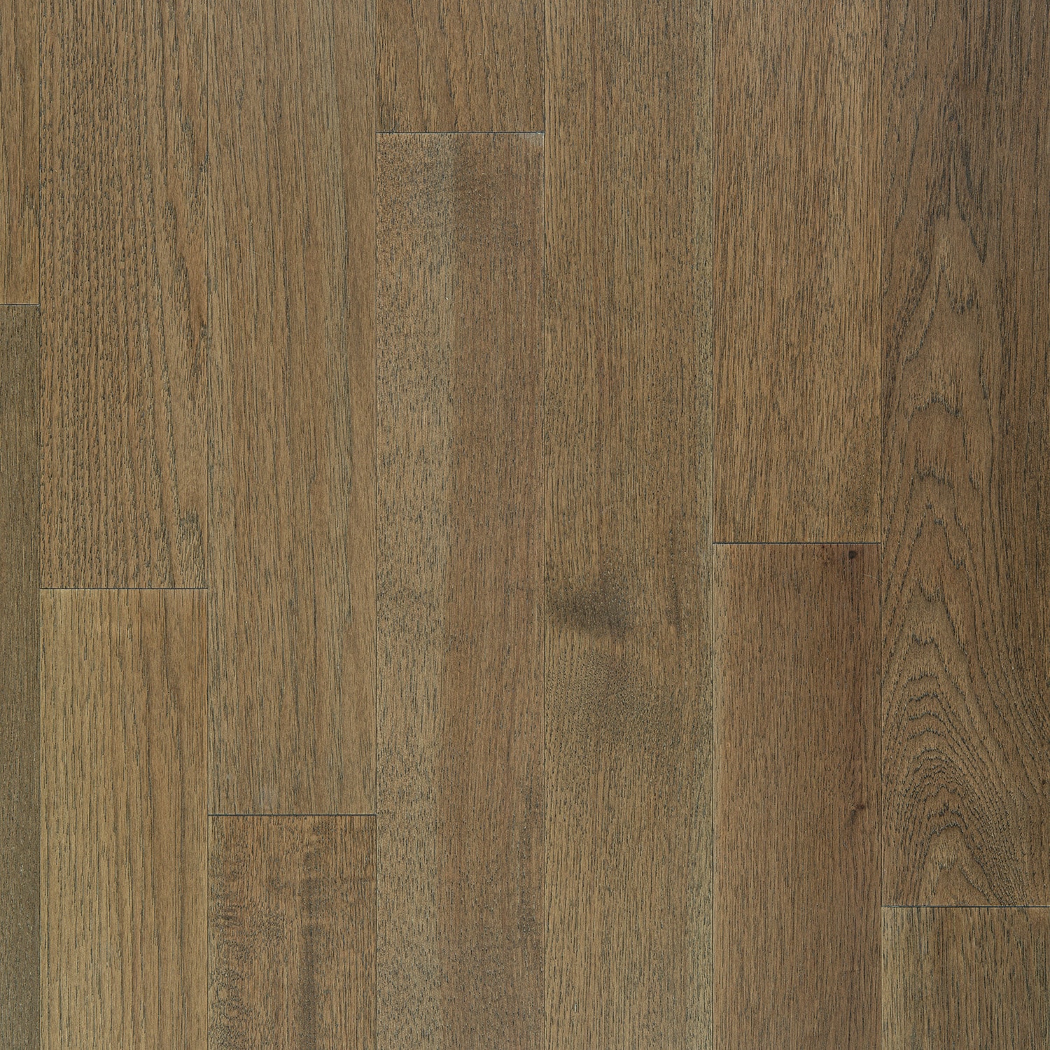 (Sample) allen+roth Saddle Hickory Engineered Hardwood Flooring in Brown | - allen + roth 19LY036-1