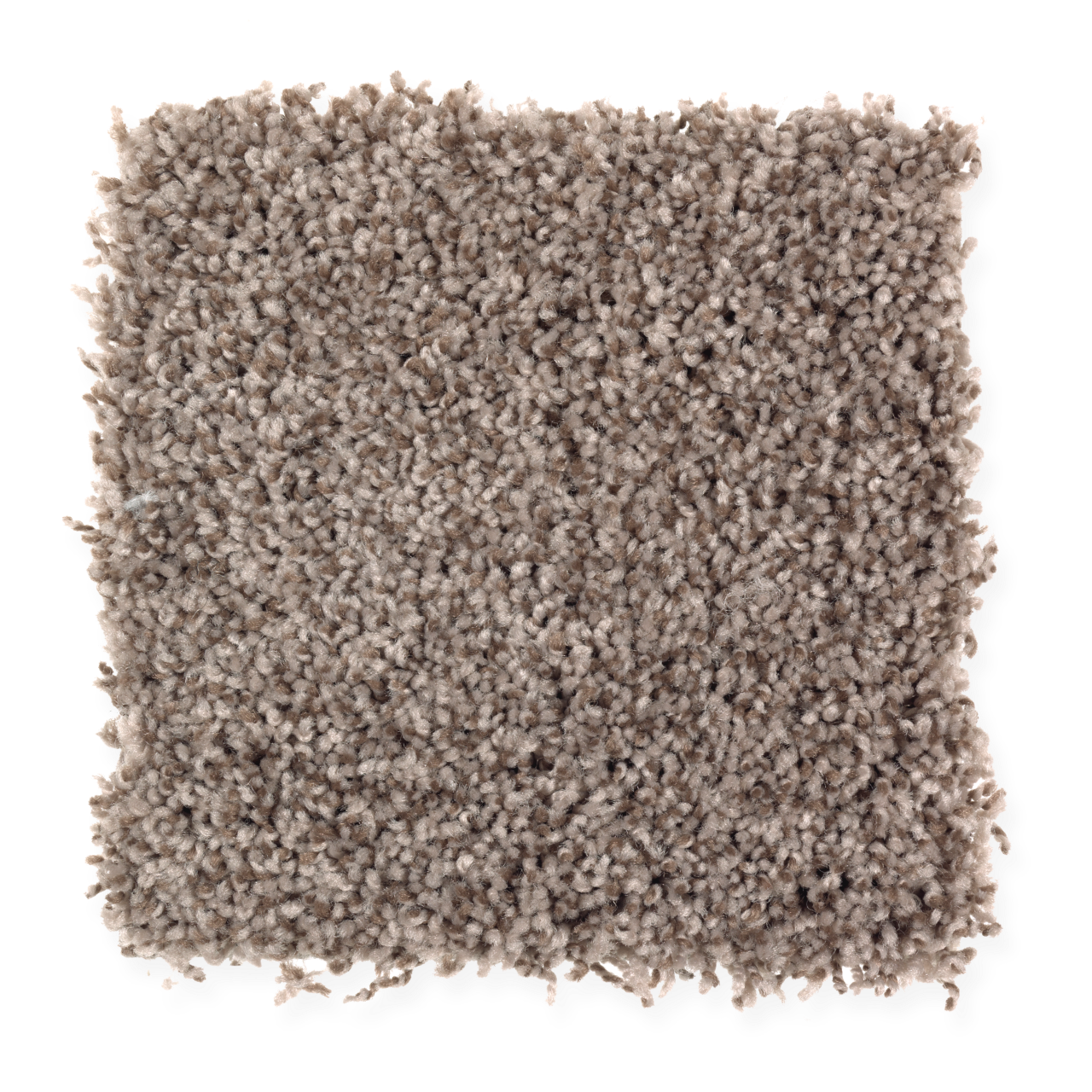 Style Selections SS001-12-L008 Express Install Norman Shores Chocolate Swirl Brown 50-oz sq yard Polyester Textured Indoor Carpet
