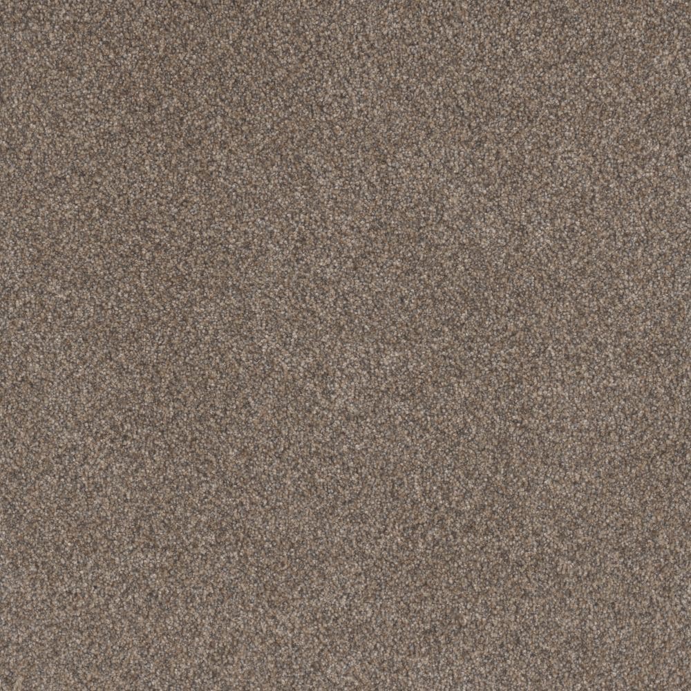 STAINMASTER S9664-112-1200-MO Playa II Pristine Brown 64-oz sq yard Solution-dyed polyester Textured Indoor Carpet