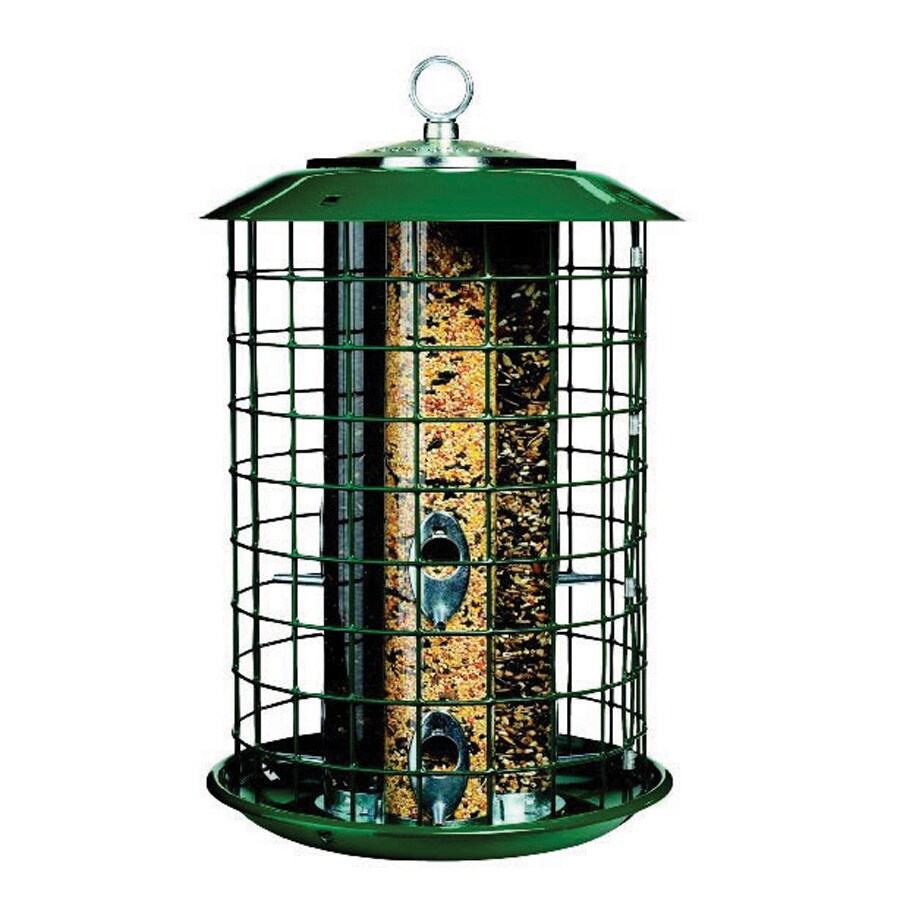 Duncraft Metal Squirrel Resistant Tube Bird Feeder In The Bird Feeders Department At Lowes 