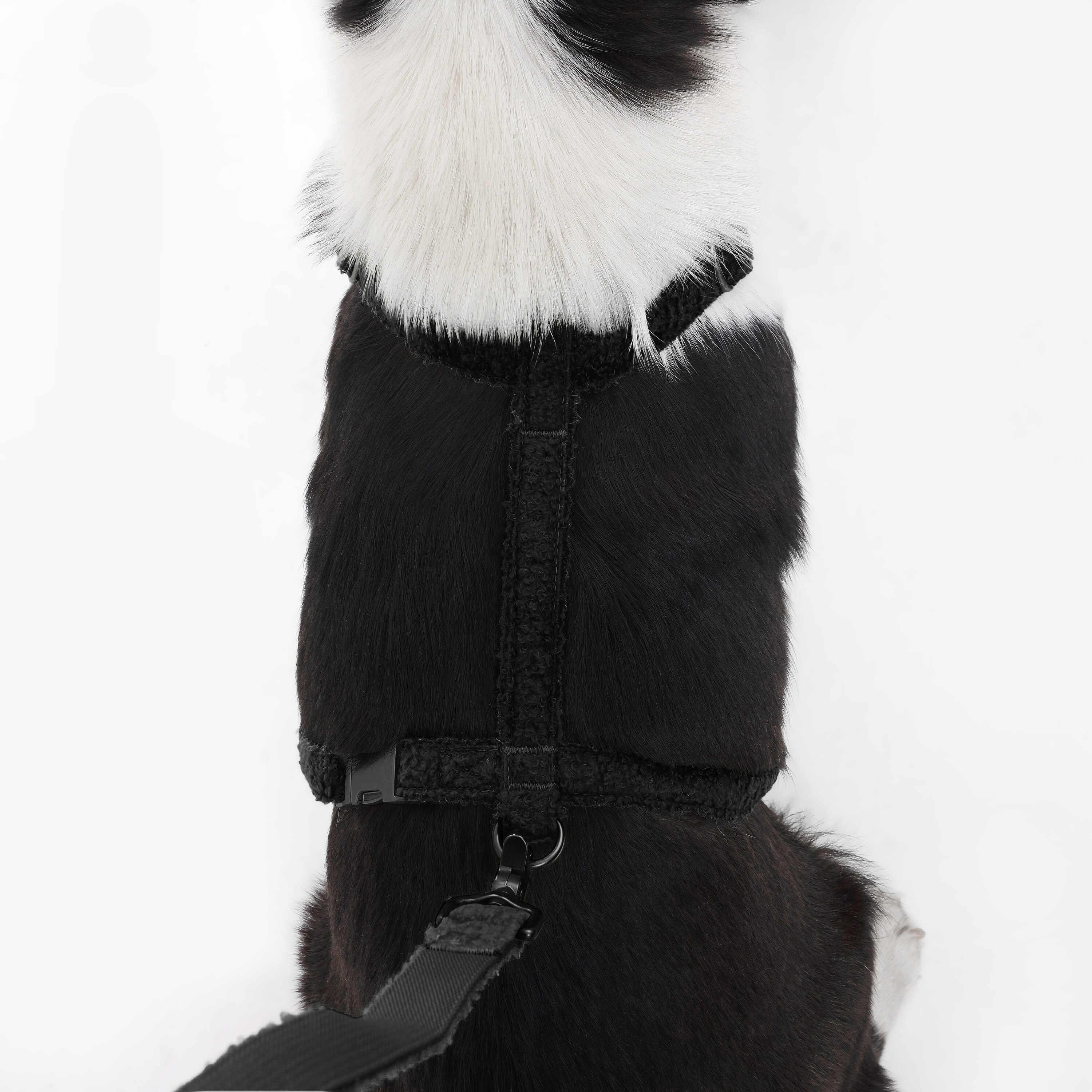 The Licker Store WLK1003C-4SET Dog-Collars-Harnesses - View #7