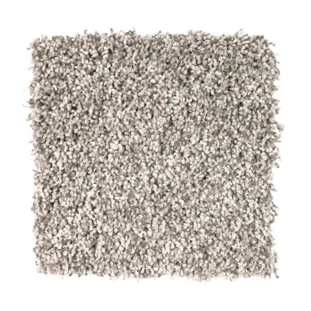 STAINMASTER LW197-L005-0808 (Sample) Essentials 72 Hour Program, Soft and Subtle II Haven Textured Carpet