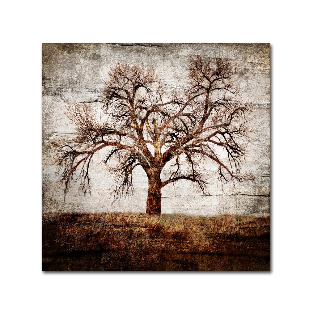 Trademark Fine Art ALI10421-C1818GG Framed 18-Inches H x 18-Inches W Landscape Canvas Print