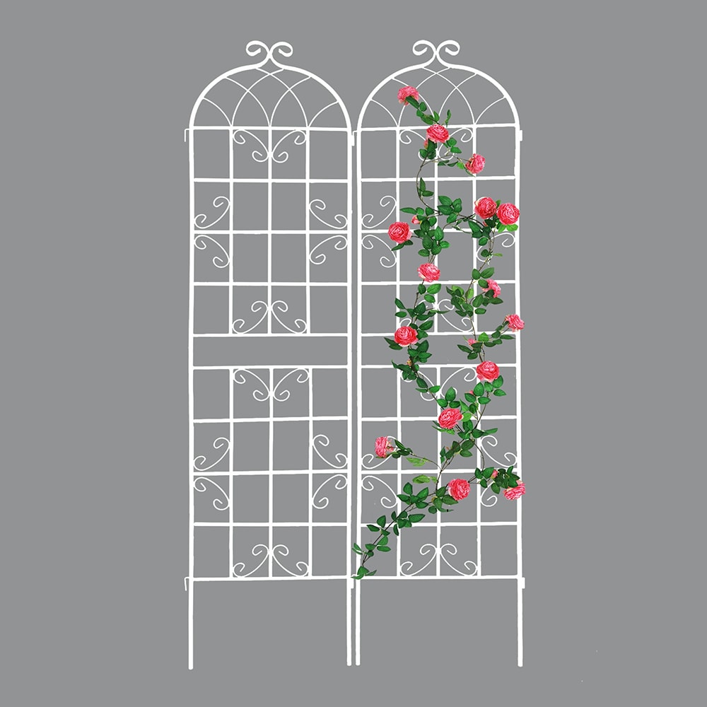 Topcraft TCGT14 40-Inches W x 86.7-Inches H White Steel Scroll Garden Trellis For Climbing Plants For Cucumbers For Roses For Tomatoes 2 -Pack