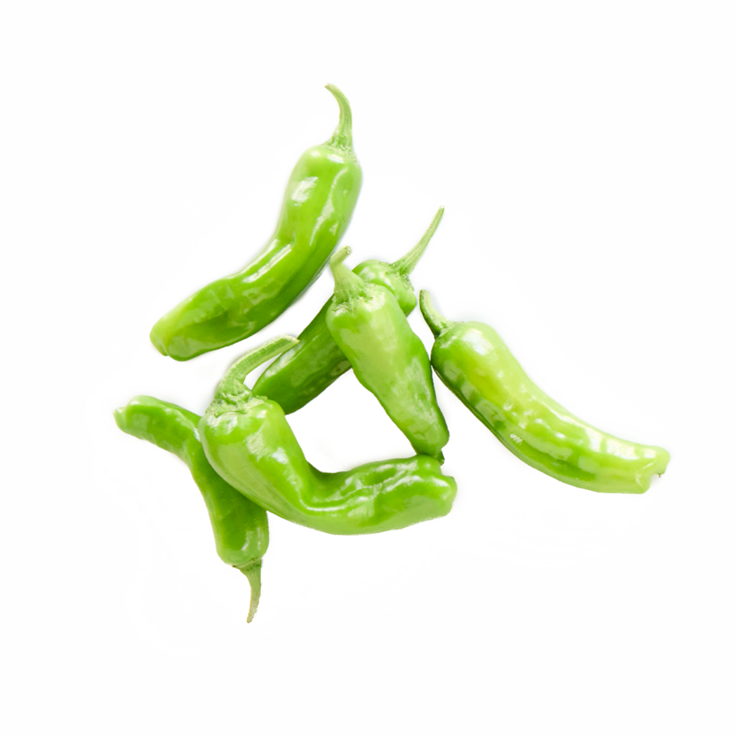 Lettuce Grow SO-SV-6-3443 Shishito Pepper Bareroot Plant 6-Pack