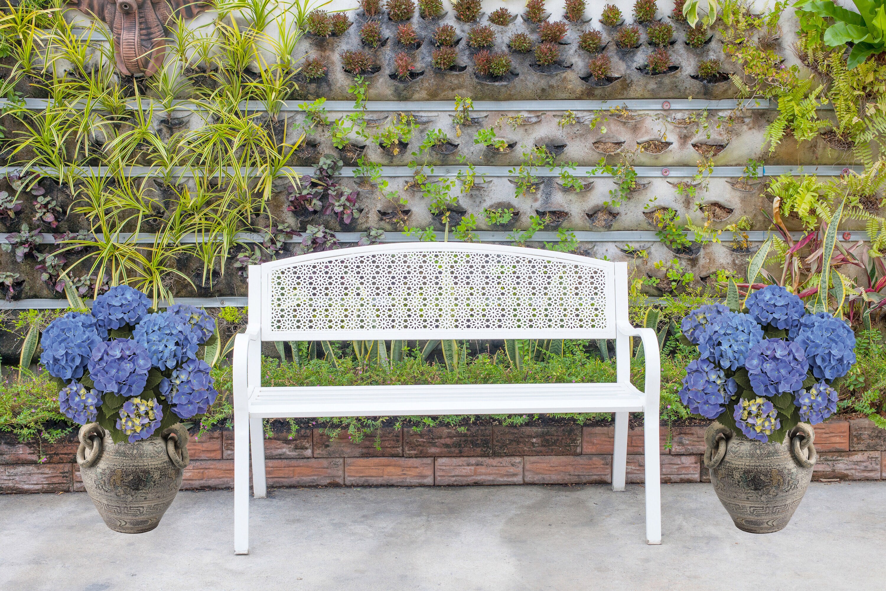  3061 shrubs - View #4