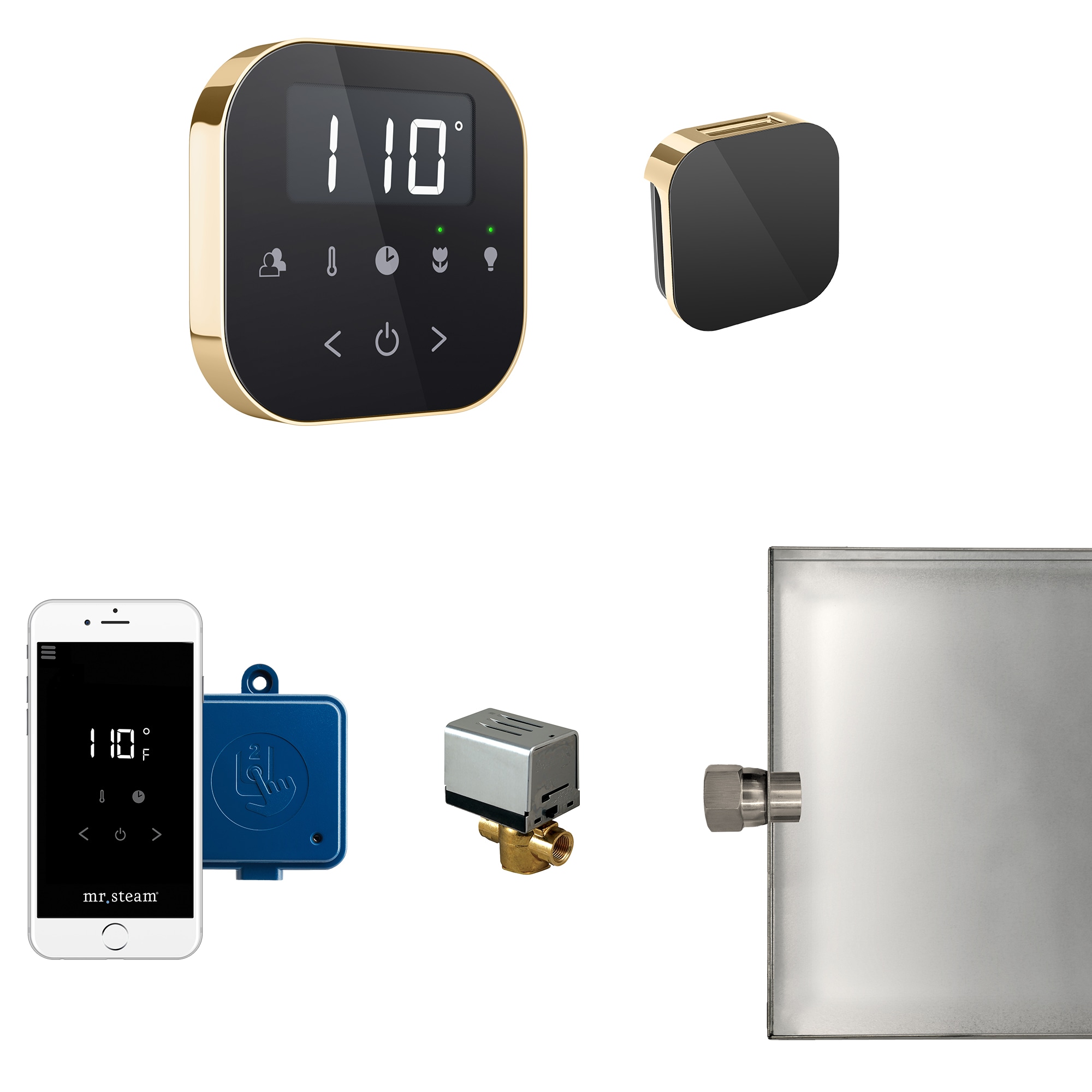 Mr. Steam ABUTLER1B-PB 120-Watts Black Polished Brass Steam generator control kit