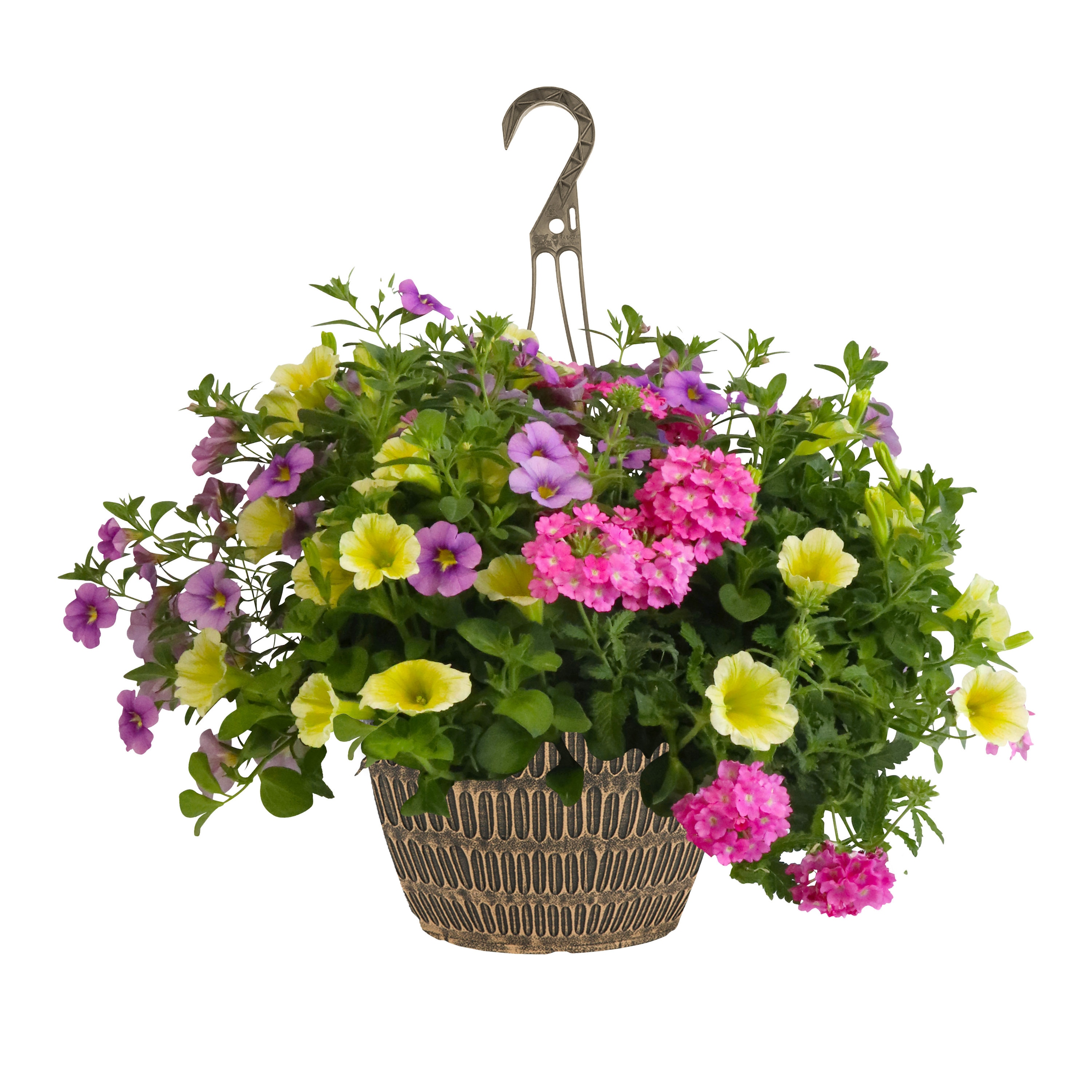 Lowe's Multicolor Mixed Annuals Combinations in 1.5-Gallon Hanging ...