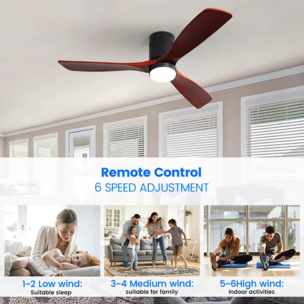 Sunrinx MG40-31-FL Ceiling-Fans - View #2