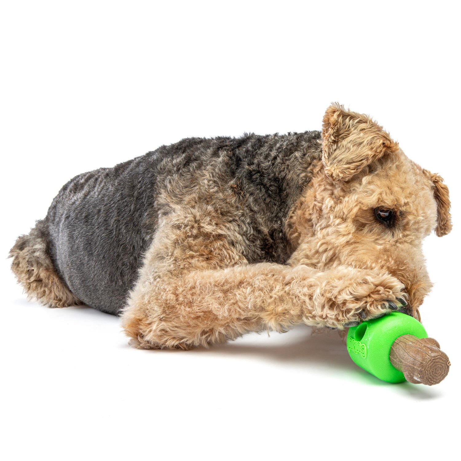 GURU G0850050756392 Dog-Toys - View #4