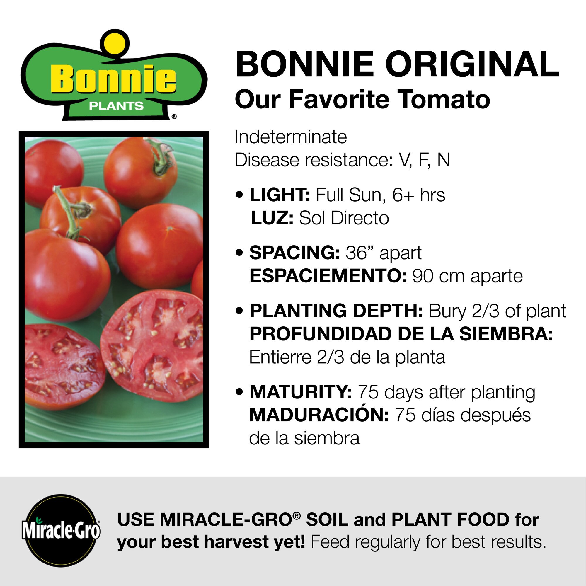 Bonnie Plants 49-311153 Vegetable-Plants - View #3