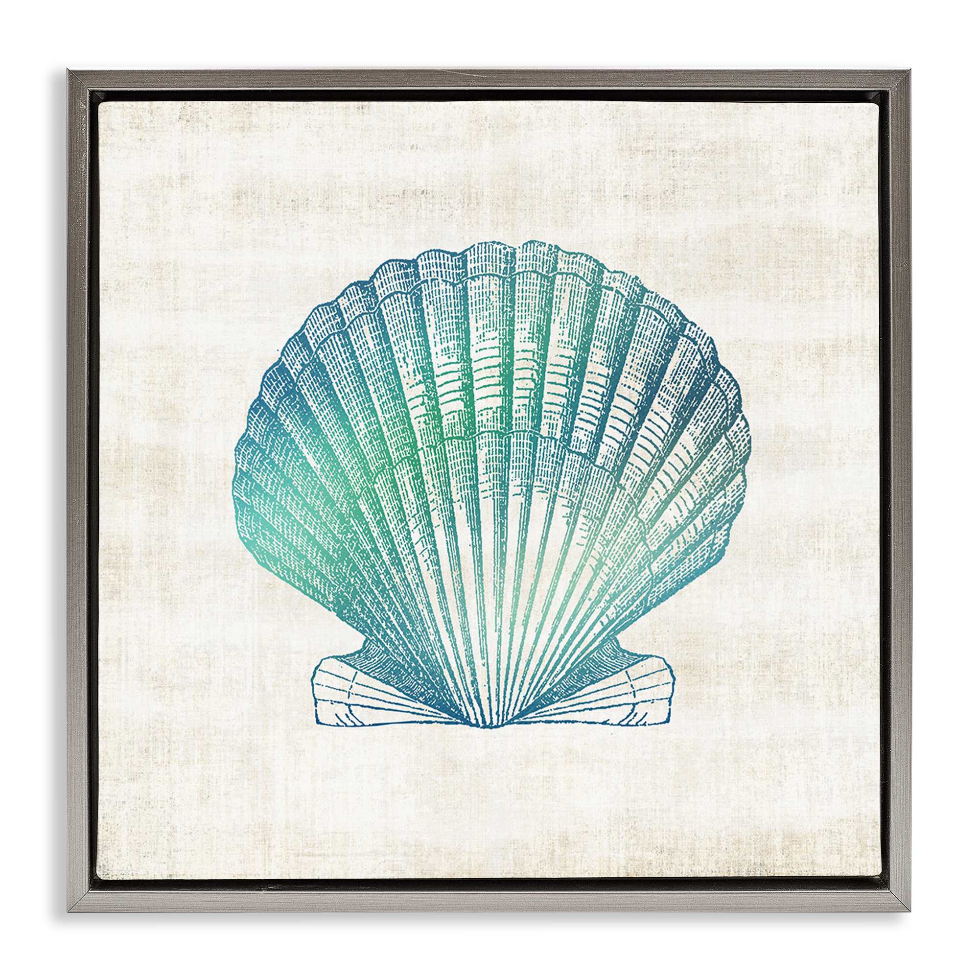 Stupell Industries BS-161-FFL-24X24 Gradient Clam Seashell Floating Frame Design by Susan Arnot