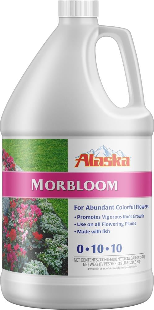 Alaska Morbloom 1-Gallon Natural Liquid Flower Food at Lowes.com