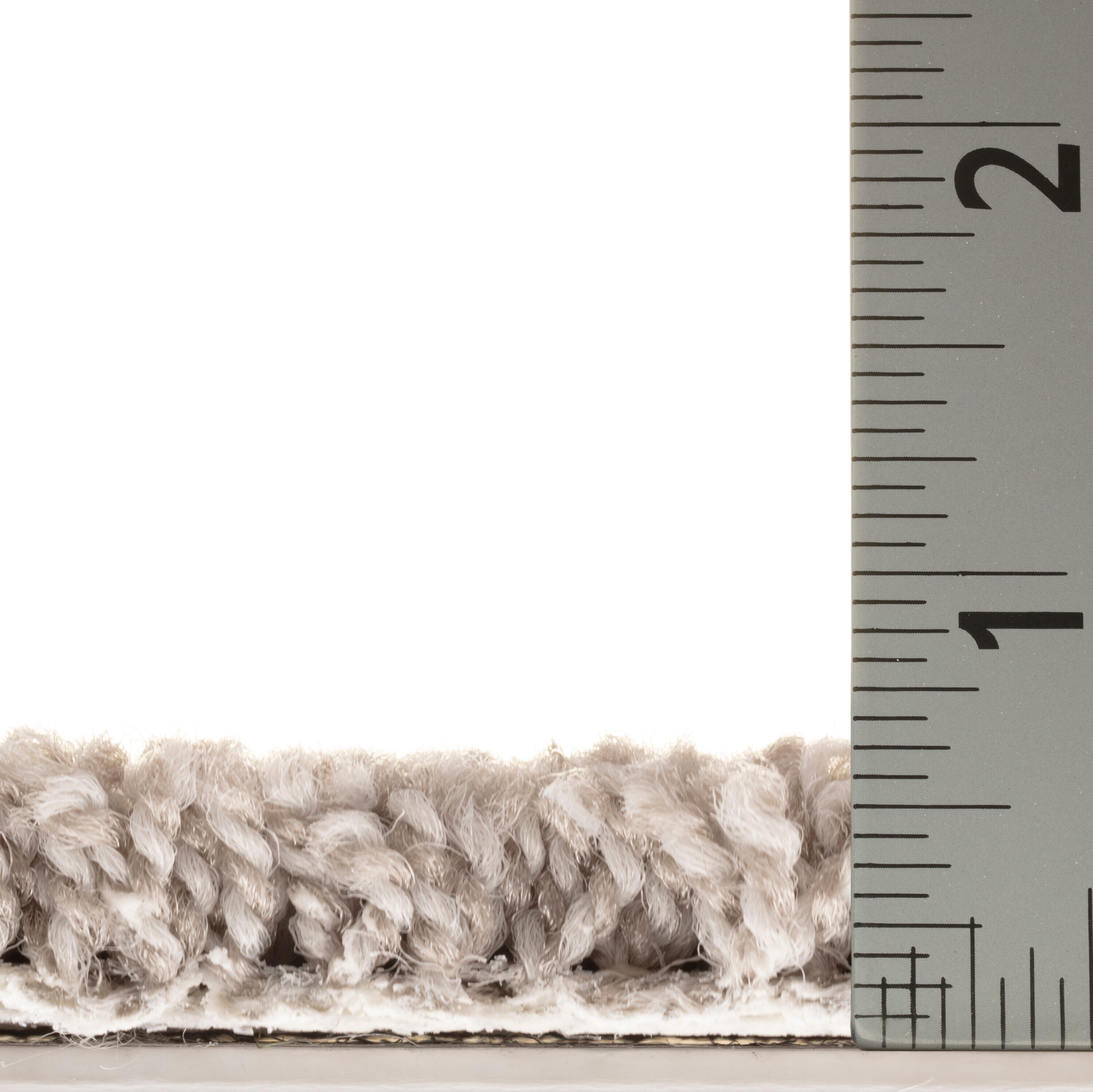 STAINMASTER PetProtect 7L90600504 Carpet-Panel - View #6