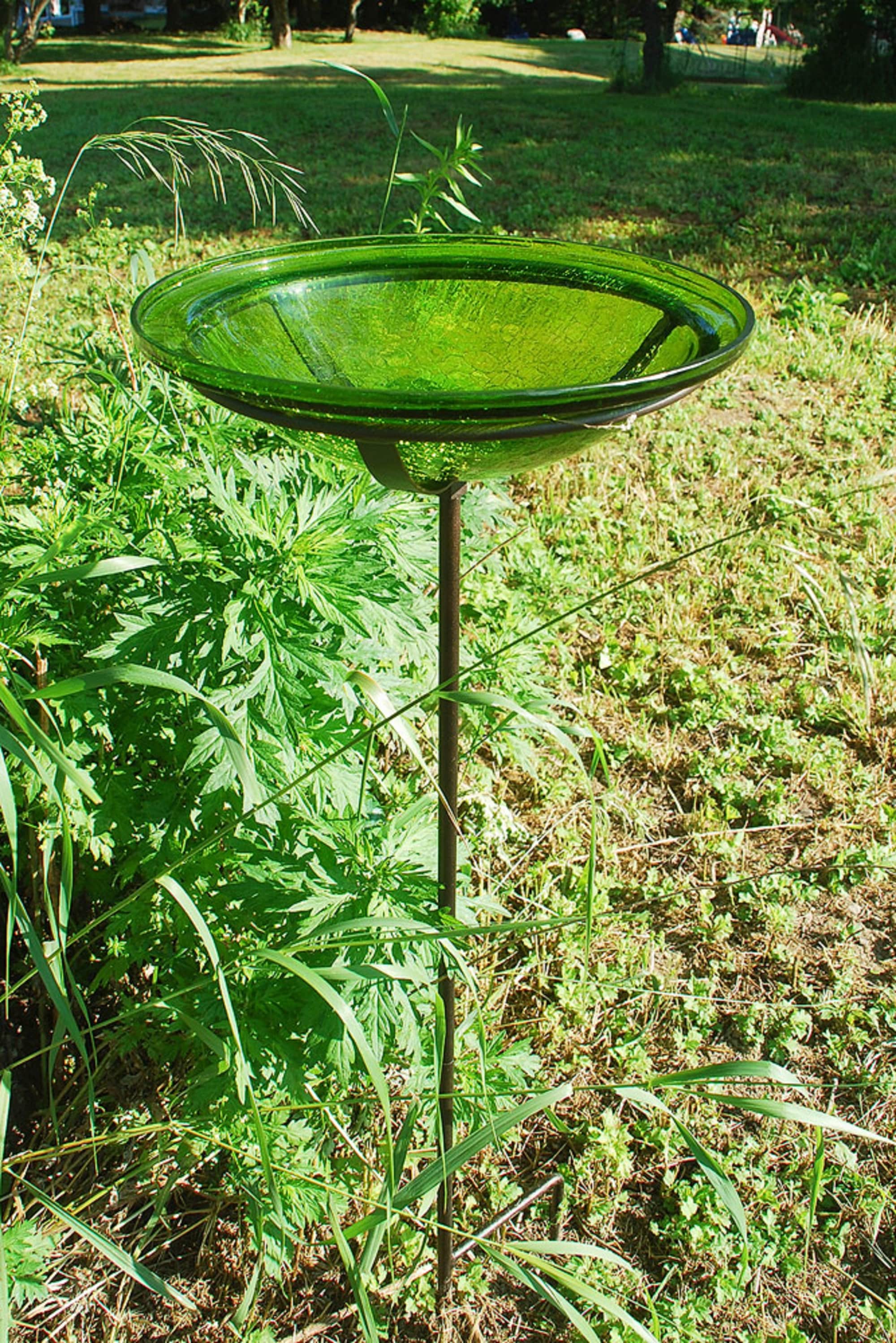 Fern Green Hand-Blown Crackle Glass Birdbath with Iron Stake